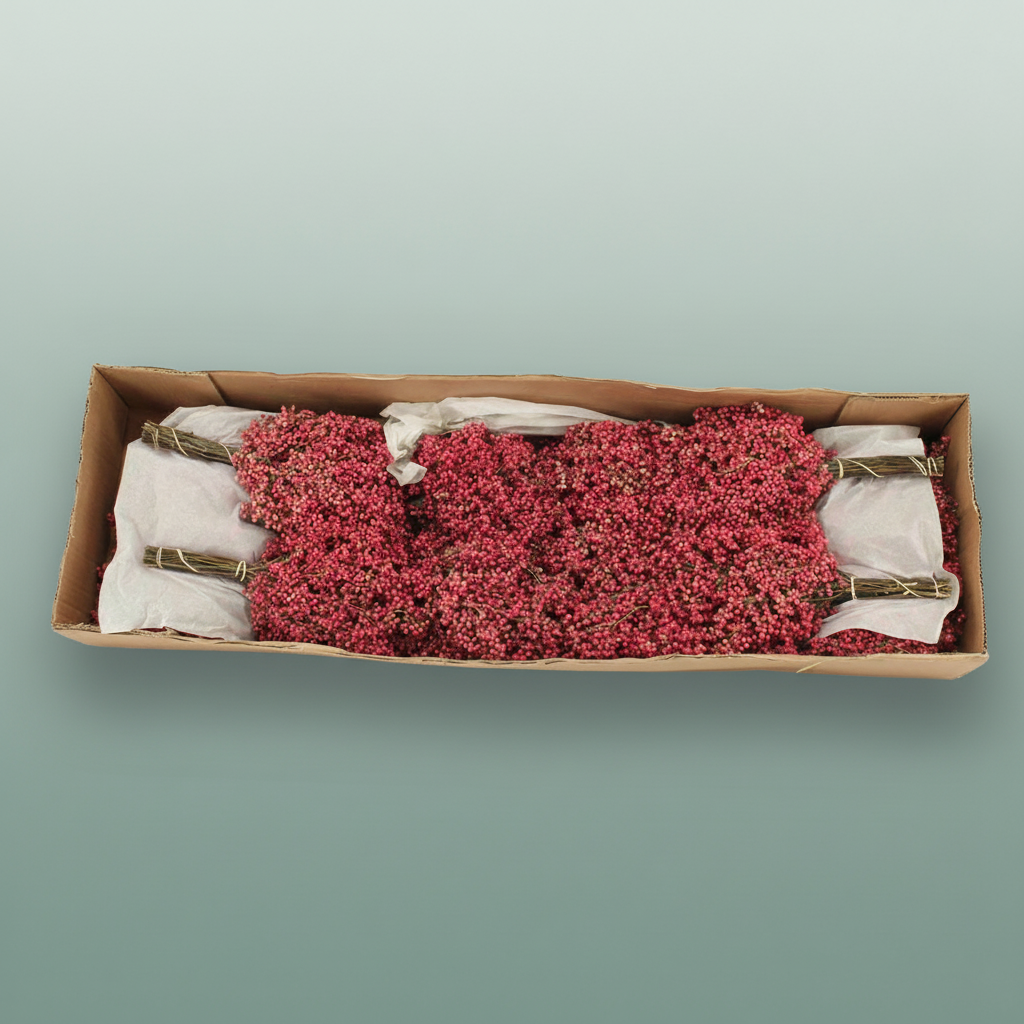 Schinus M Pink Special Pbs