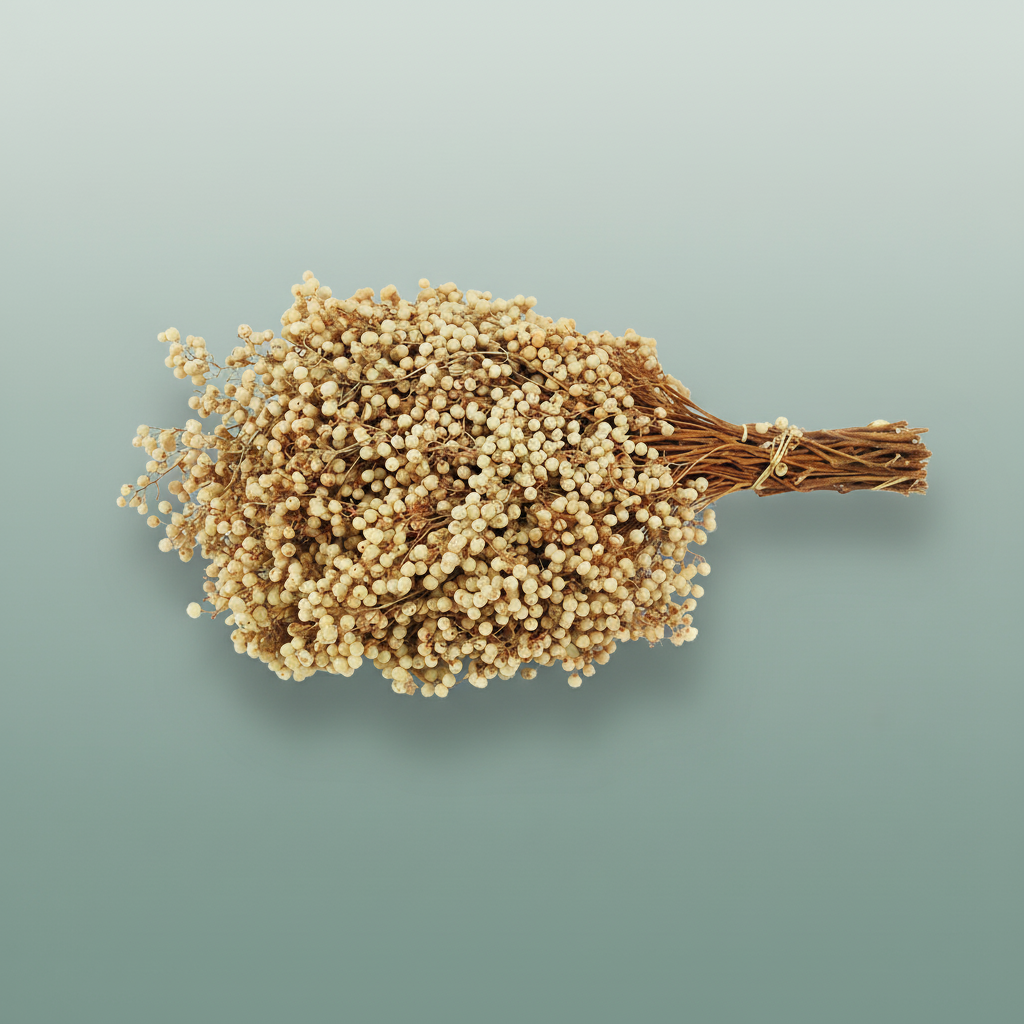 Schinus M Pt White Bleached