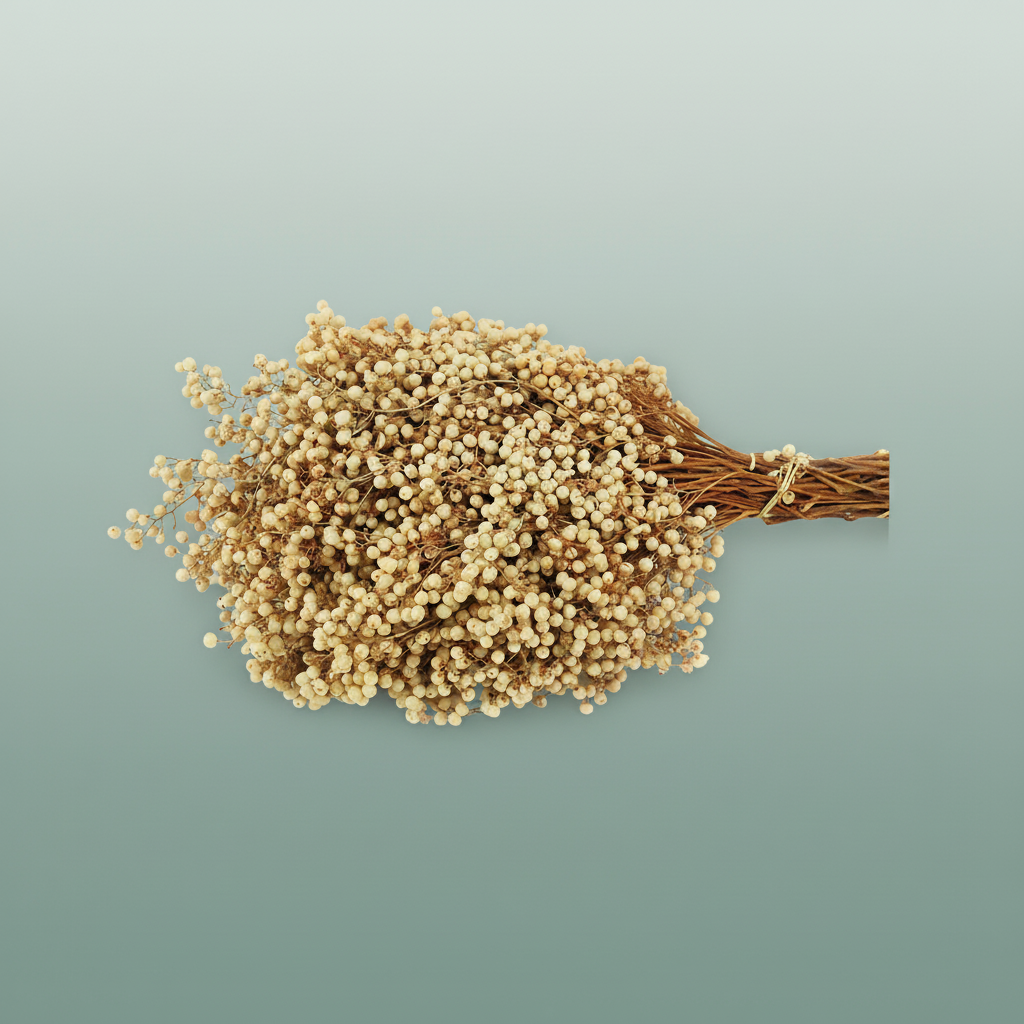 Schinus M Pt White Bleached Special