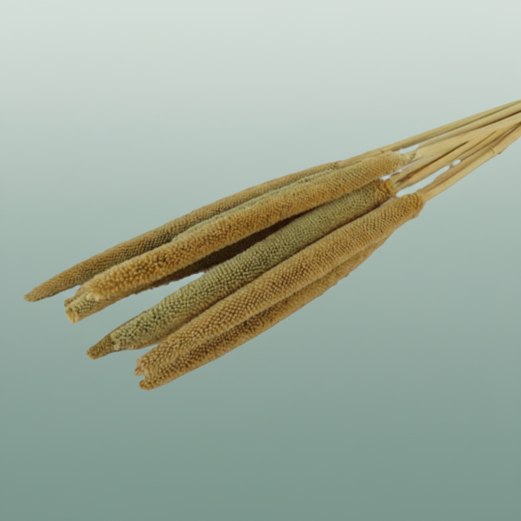 Dried Babala Naturels