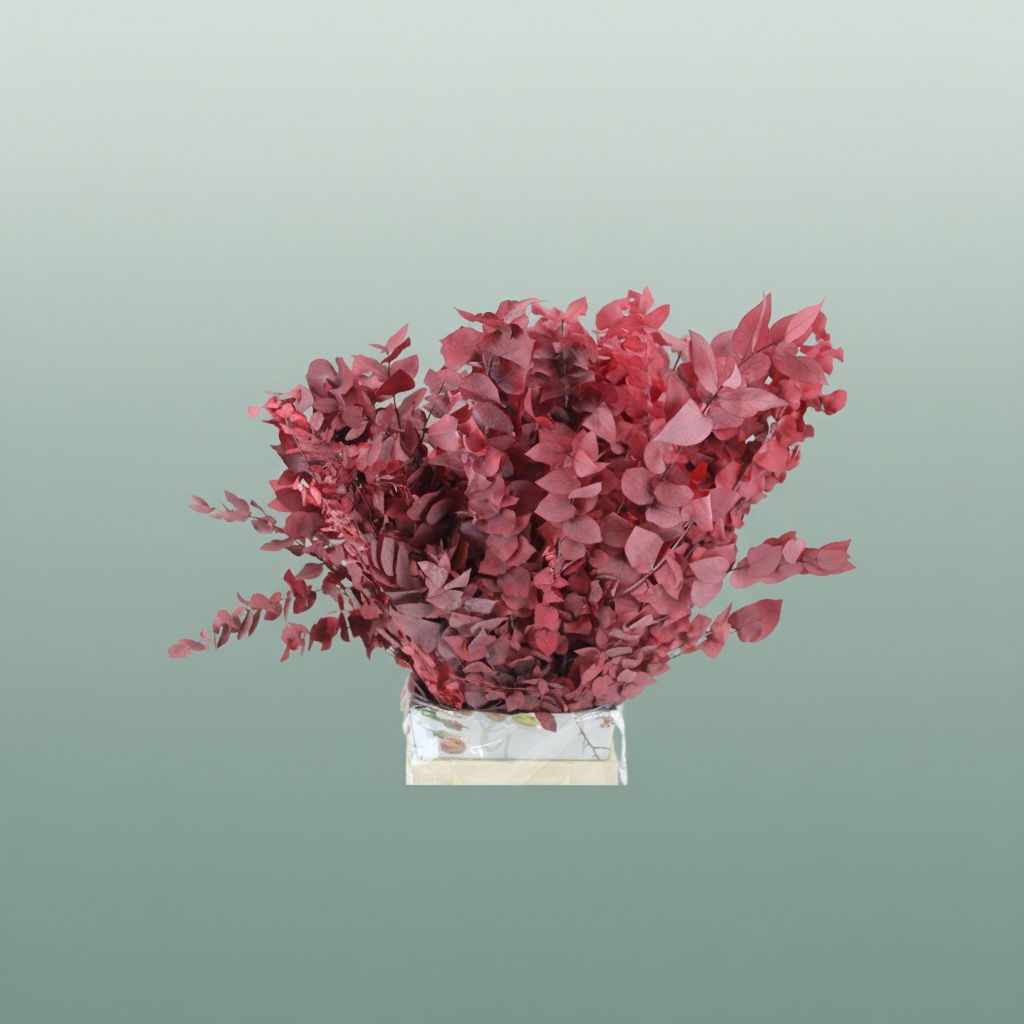 Pres Eucalyptus Stuartiana Red P