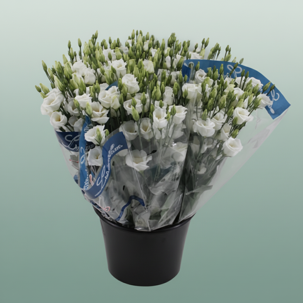 Bouquet Mono Eustoma