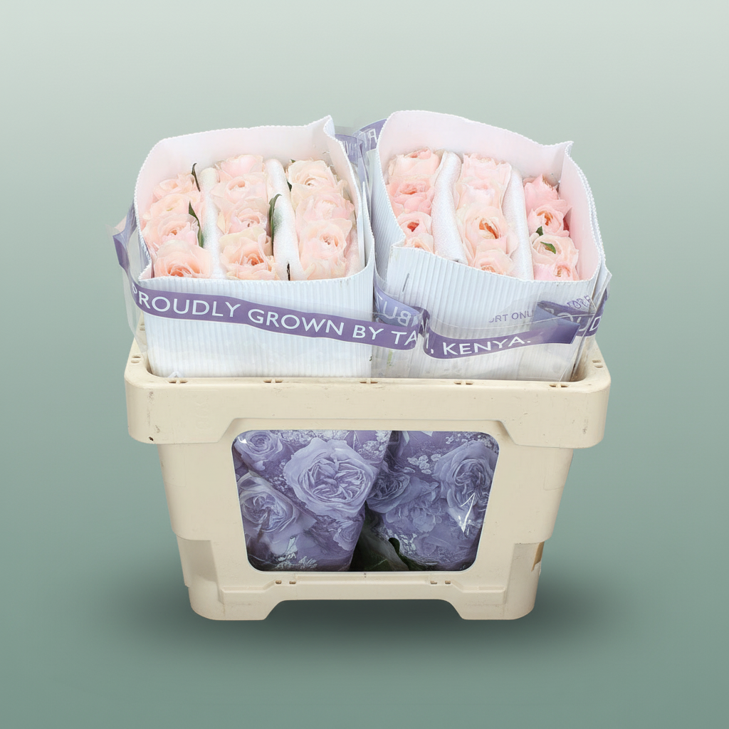 Rose Garden Garden Austin Zalm