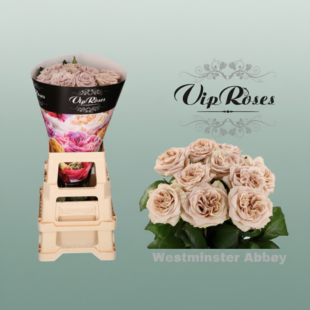 Rose Vip Wminster Abbey!