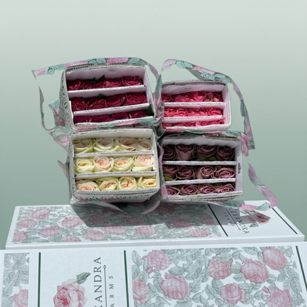 Rose Garden Garden Austin Mix X 48