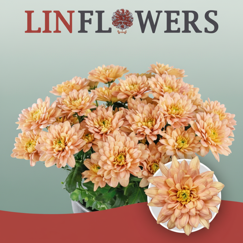 Chrysanthemum Spray Baltica Salmon
