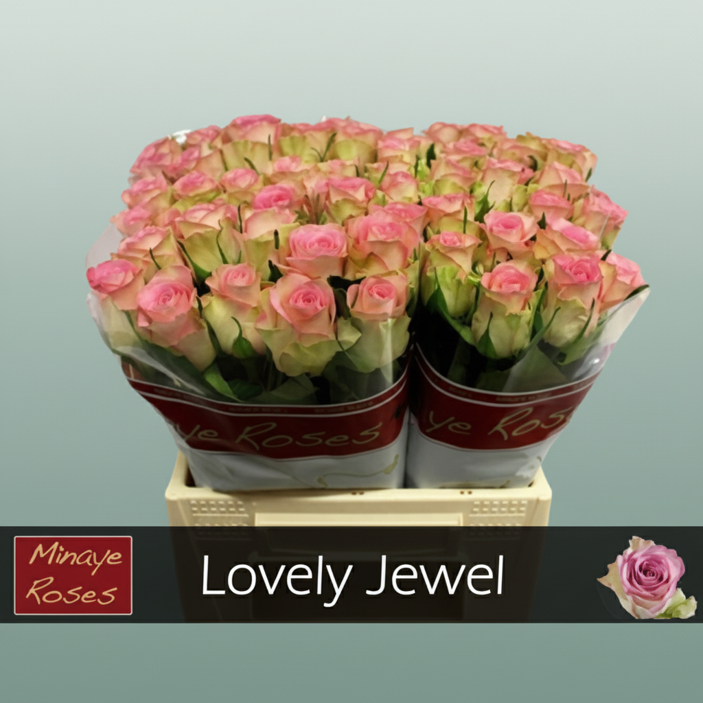 Rose Love Jewel