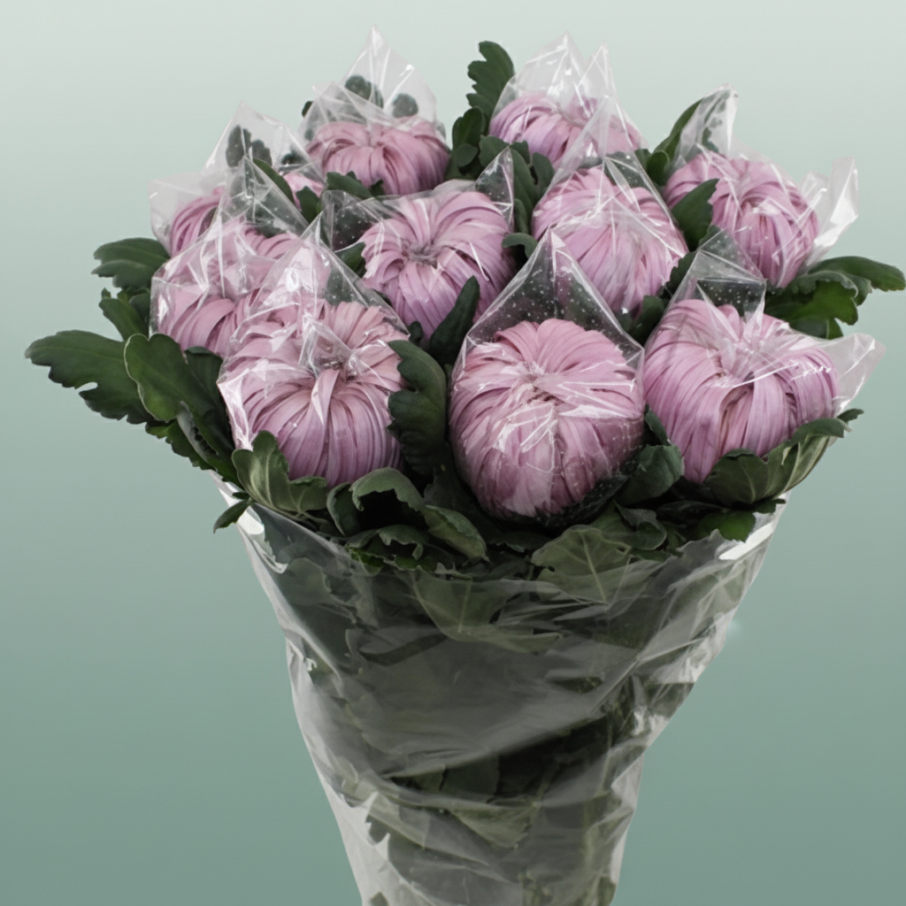 Chrysanthemum G Deko Vienna Pink