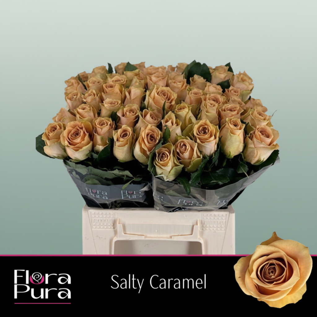 Rose Salty Caramel
