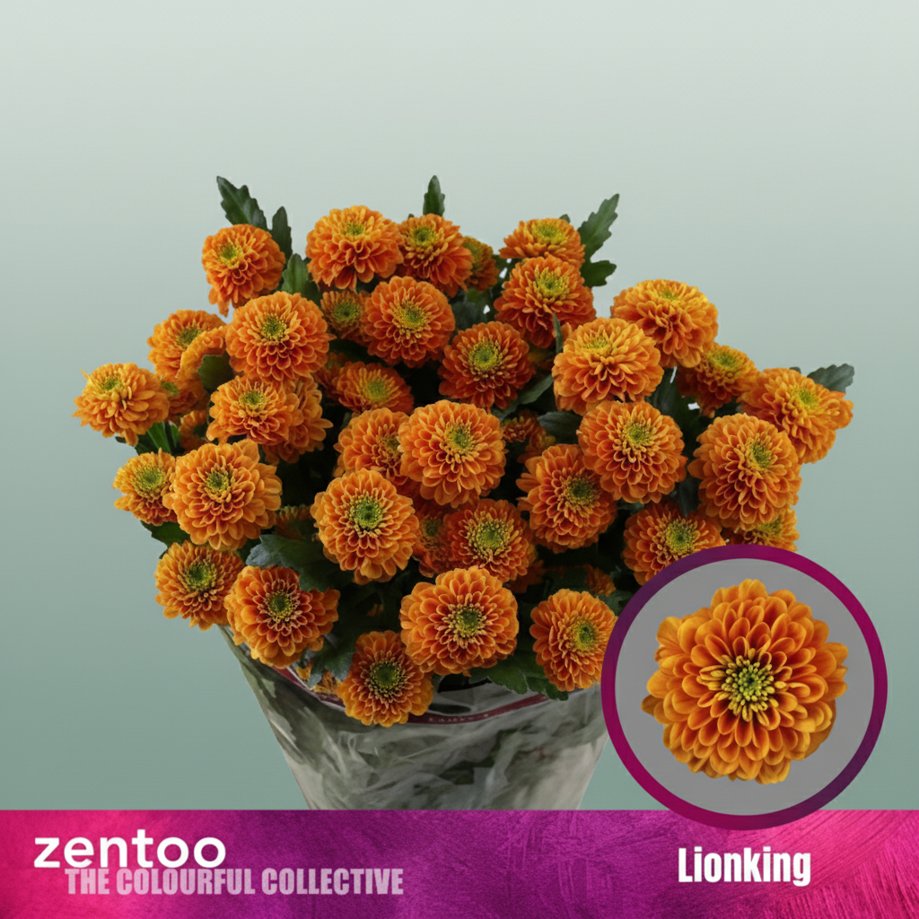Chrysanthemum Spray Lionking