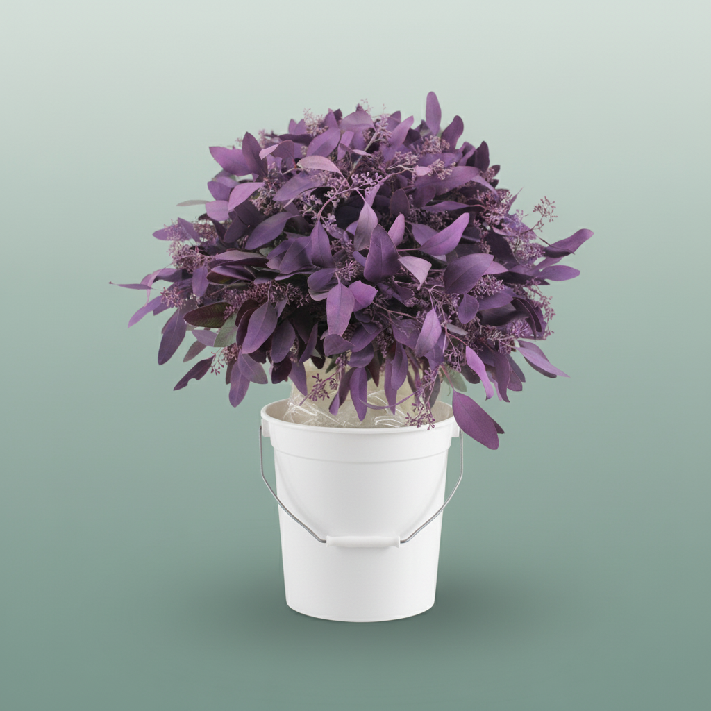 Eucalyptus Populus Dyed Lilac