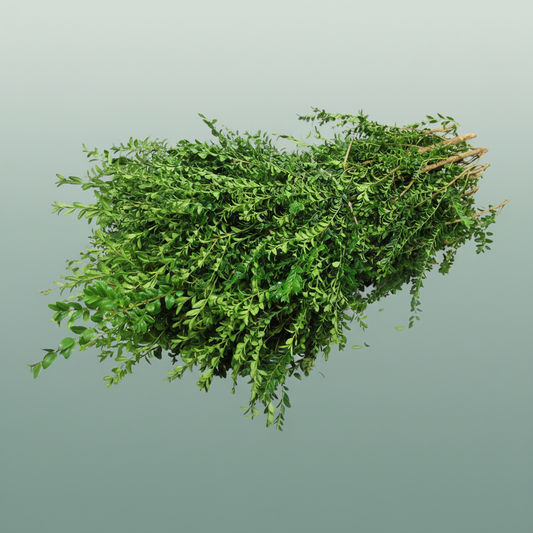 Buxus 3kg