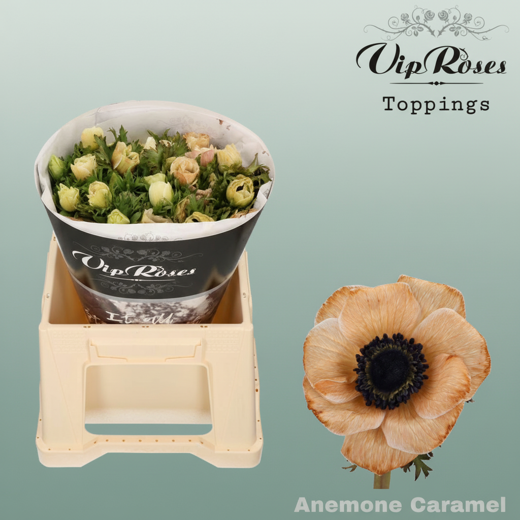 Anemone Dyed Caramel