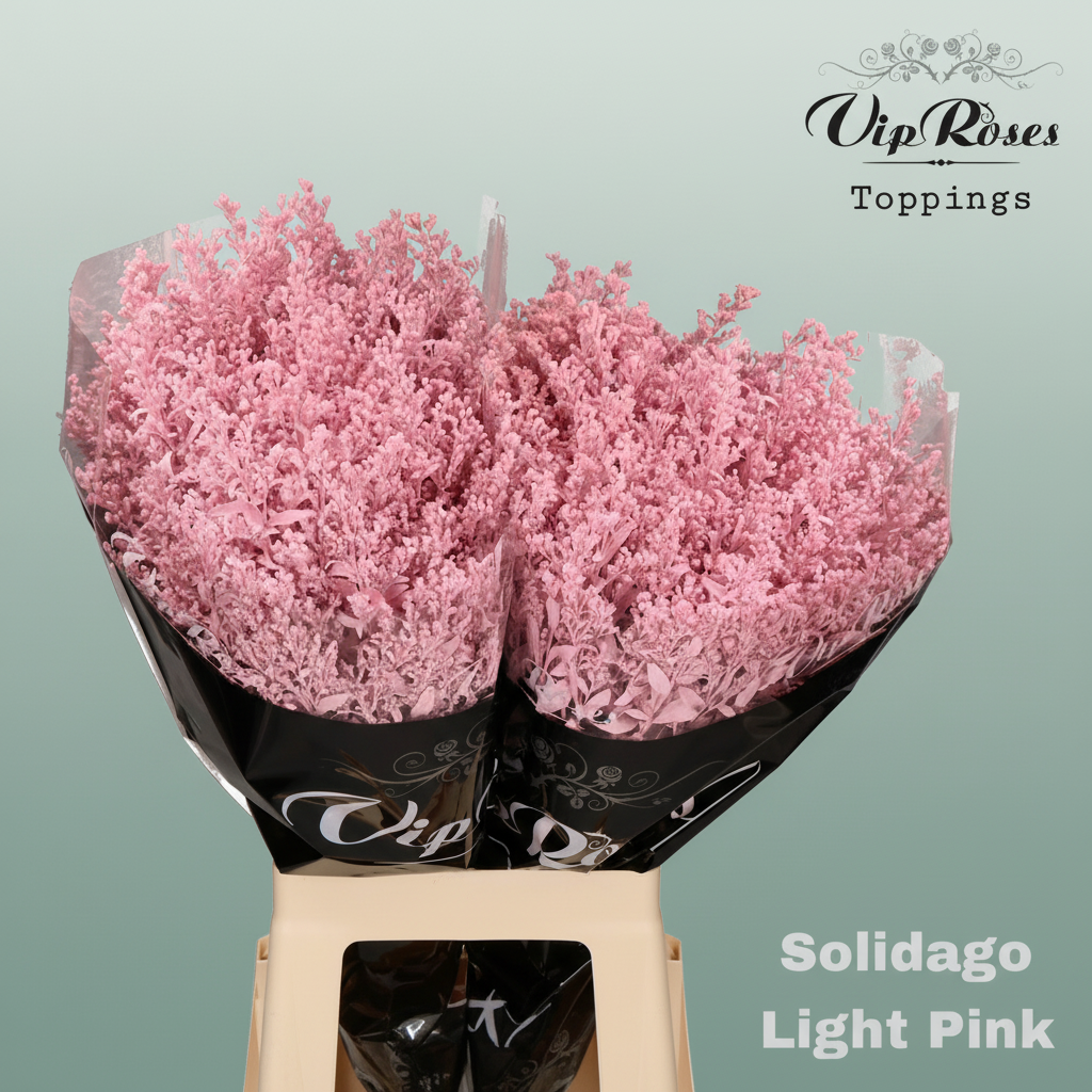Solidago Dyed Light Pink