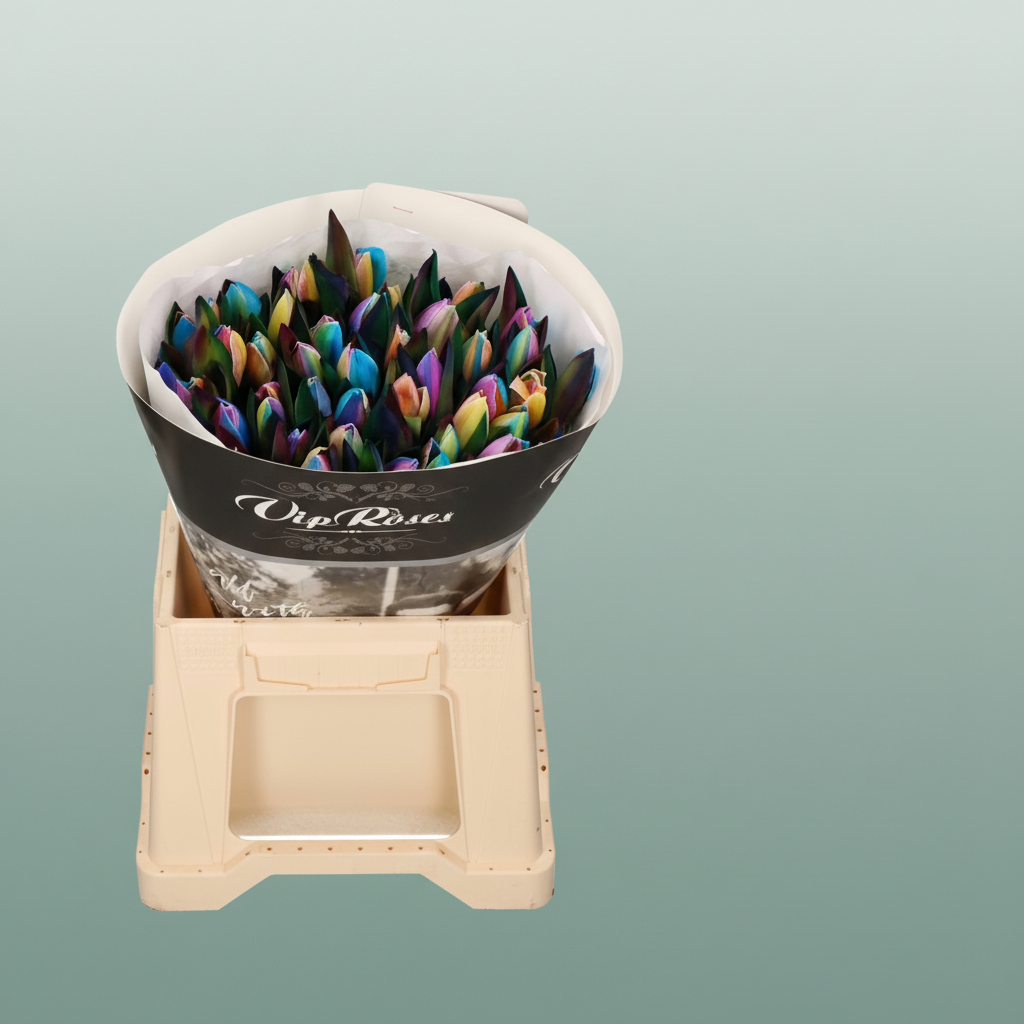 Tulip Dyed Rainbow Rv