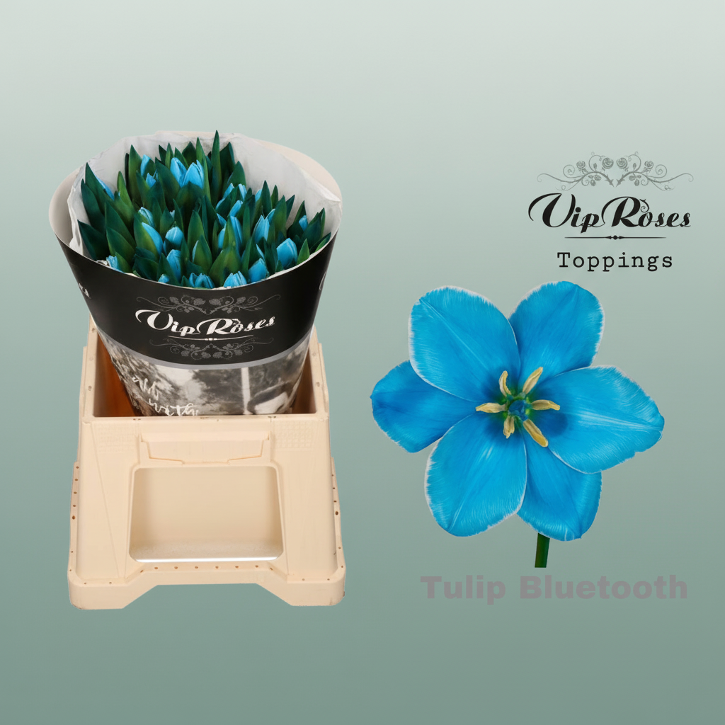 Tulip Dyed Bluetooth