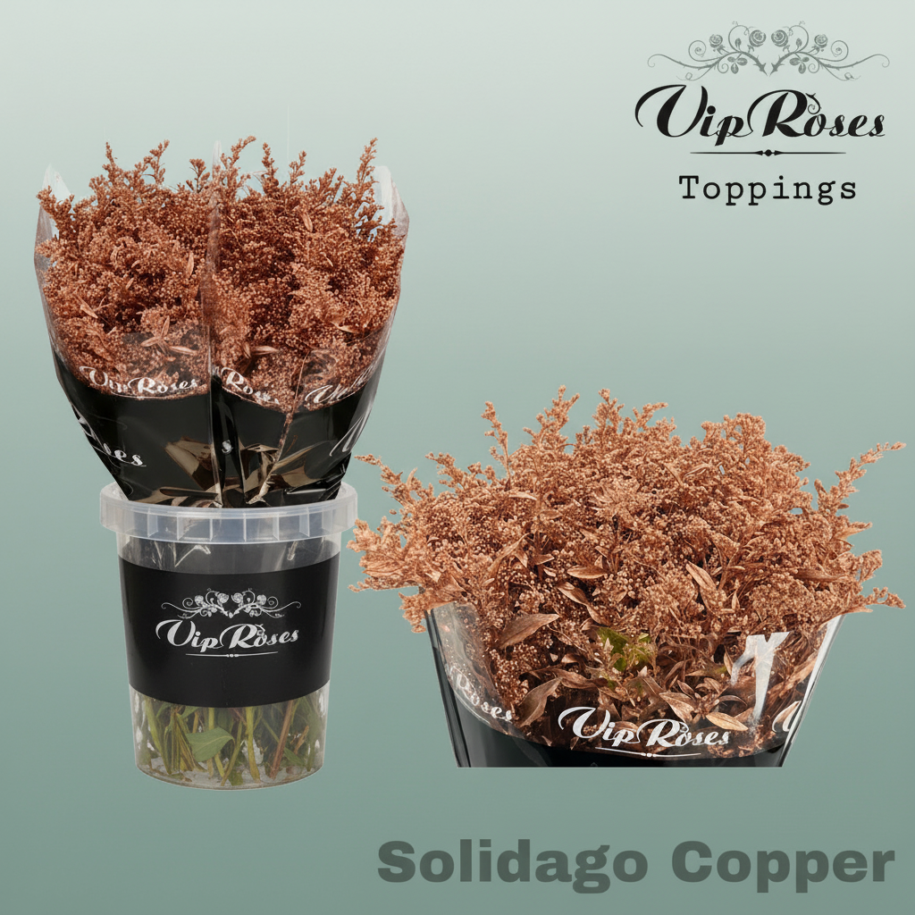 Solidago Dyed Copper