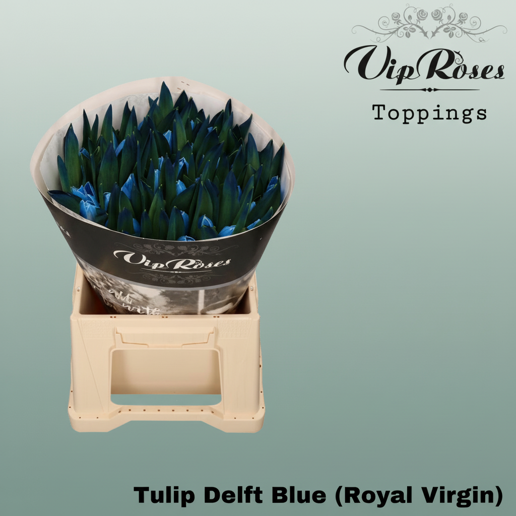 Tulip Dyed Delft Blue