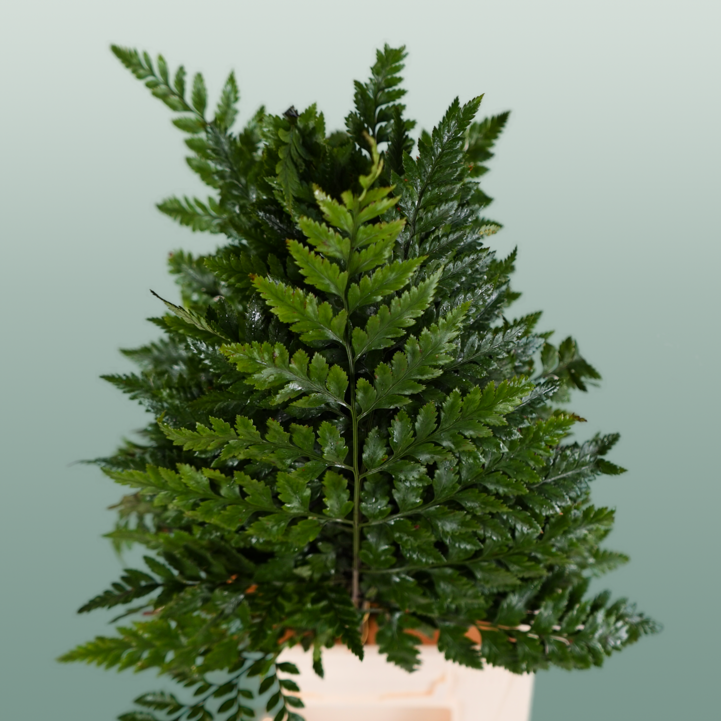 Dec Leather Leaf