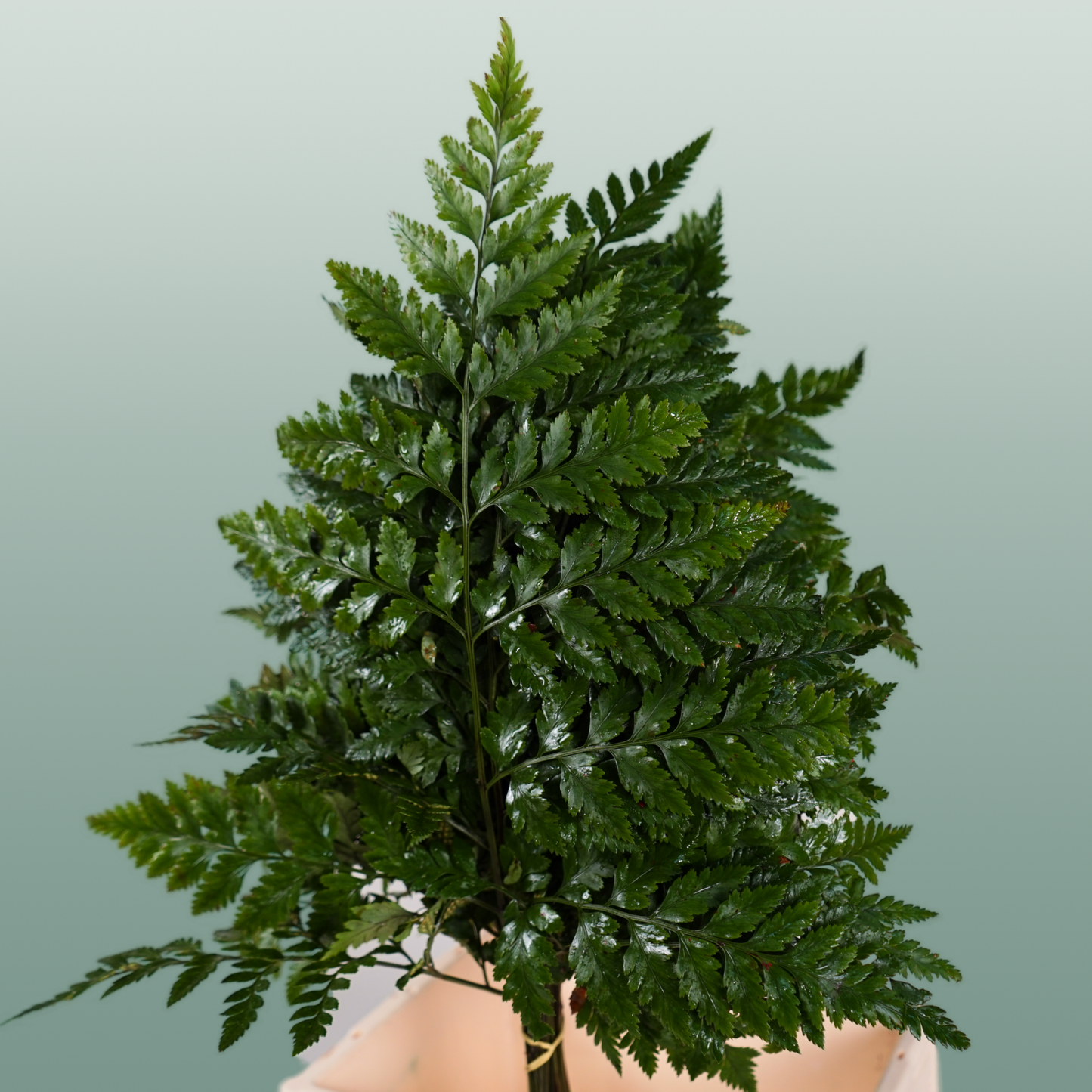 Dec Leather Leaf