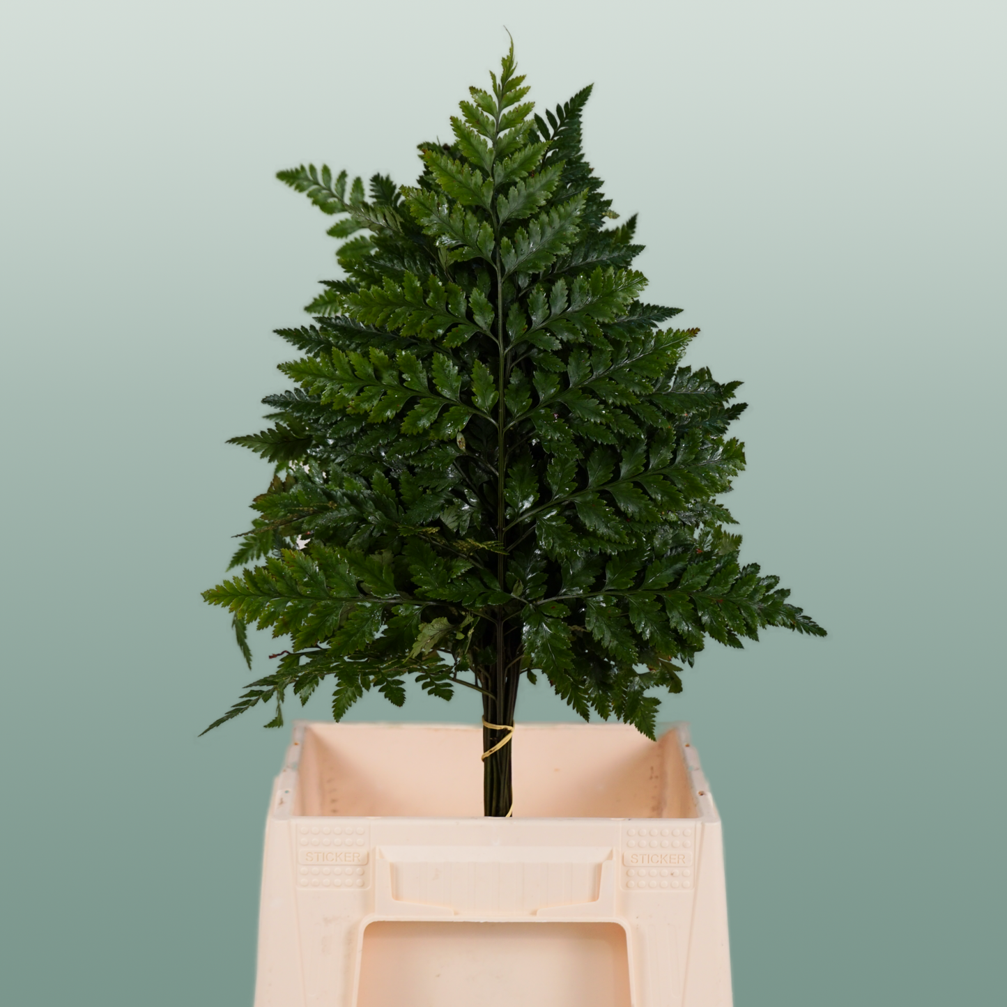 Dec Leather Leaf