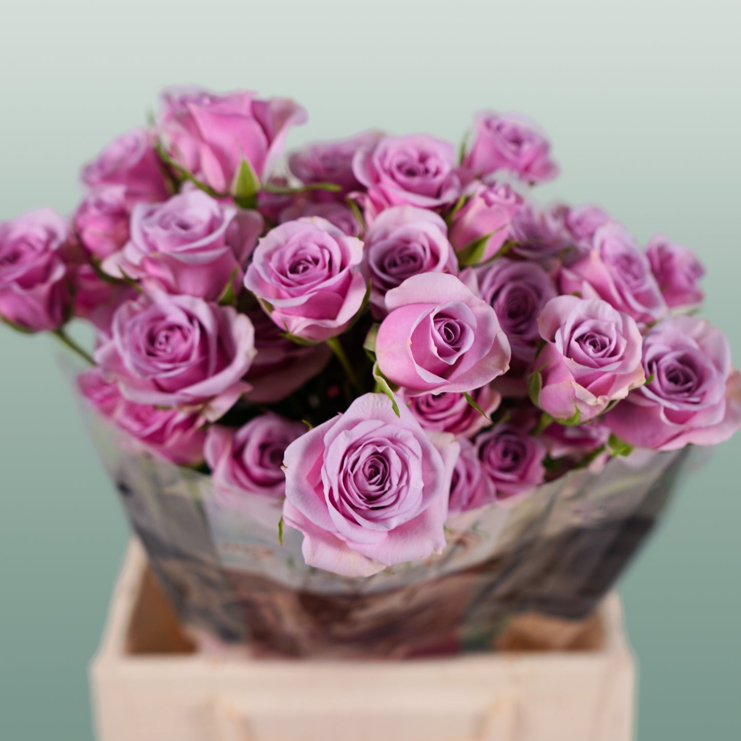 Spray Rose Leila (10 Stems)