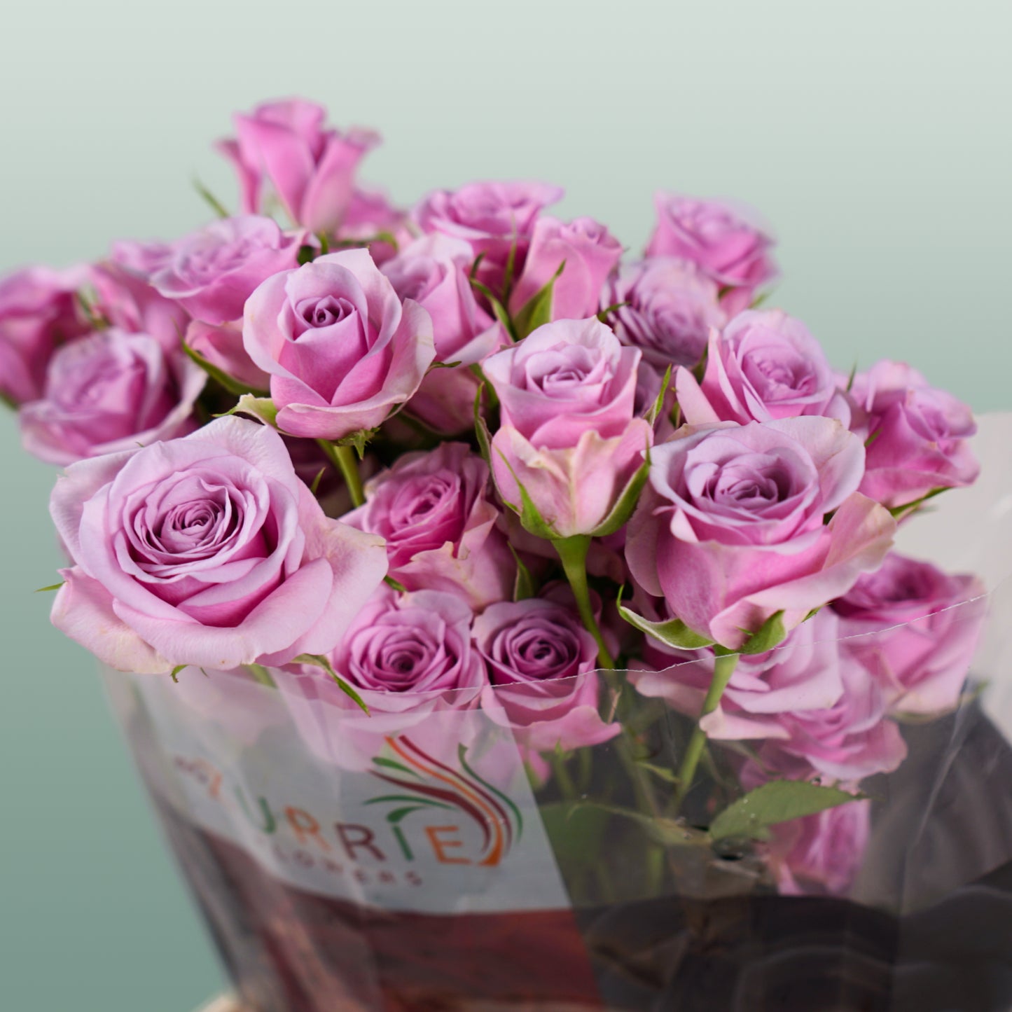 Spray Rose Leila (10 Stems)