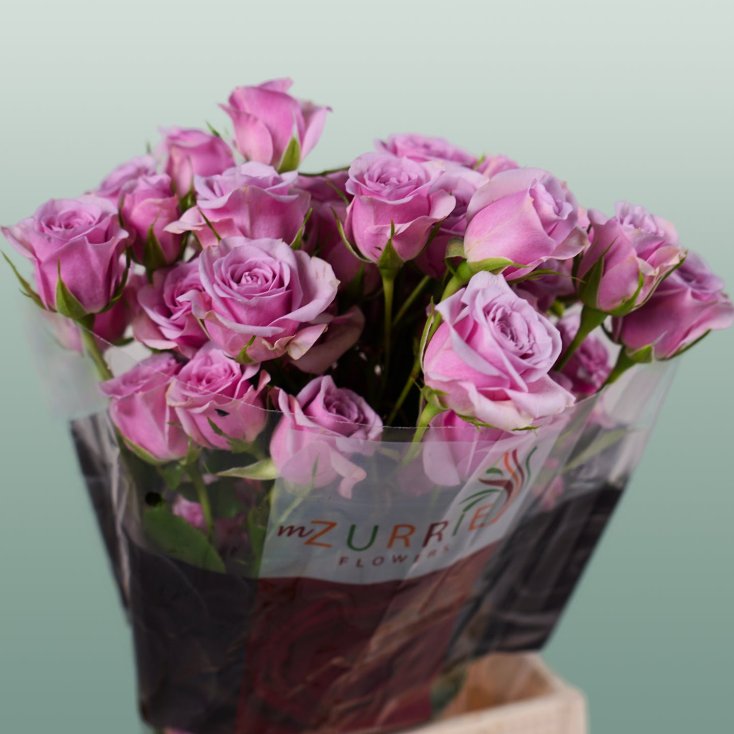 Spray Rose Leila (10 Stems)