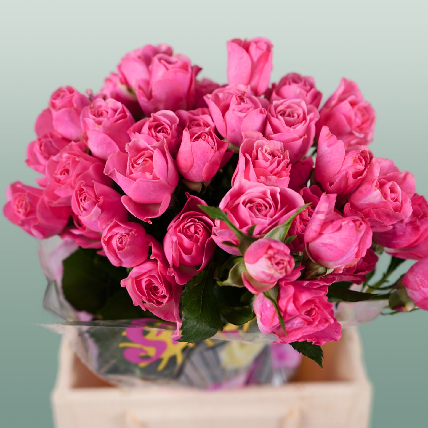Spray Rose Lianne (10 Stems)