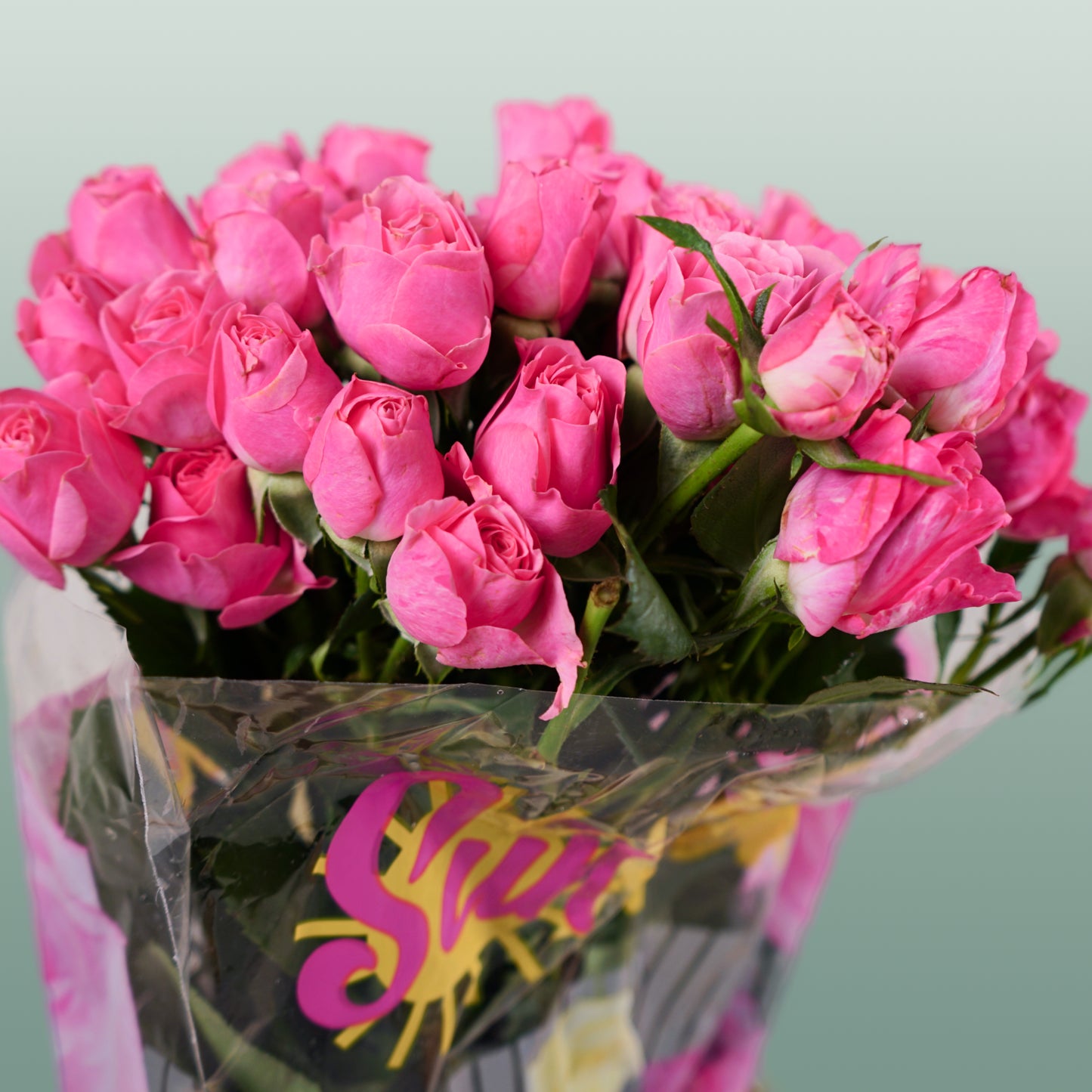 Spray Rose Lianne (10 Stems)