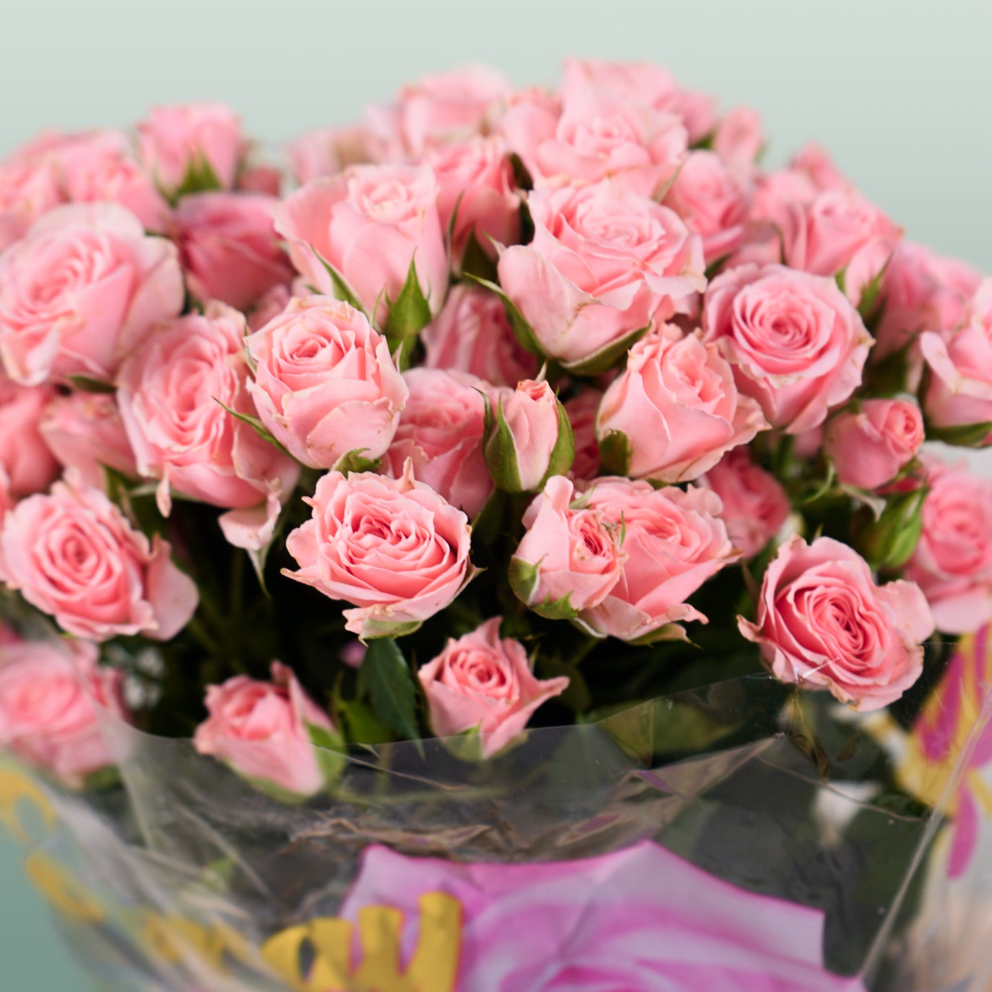 Spray Rose Lydia (10 Stems)