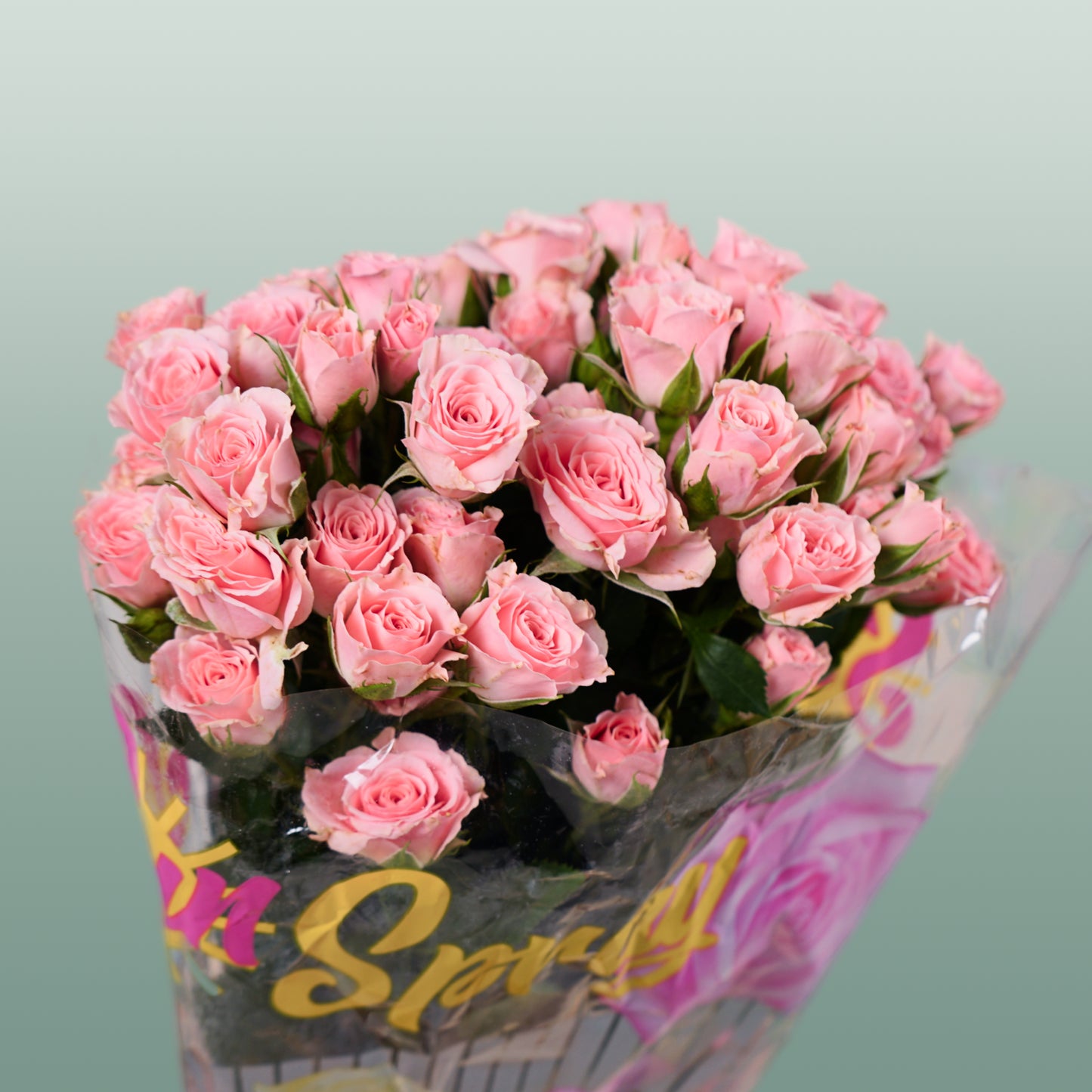 Spray Rose Lydia (10 Stems)