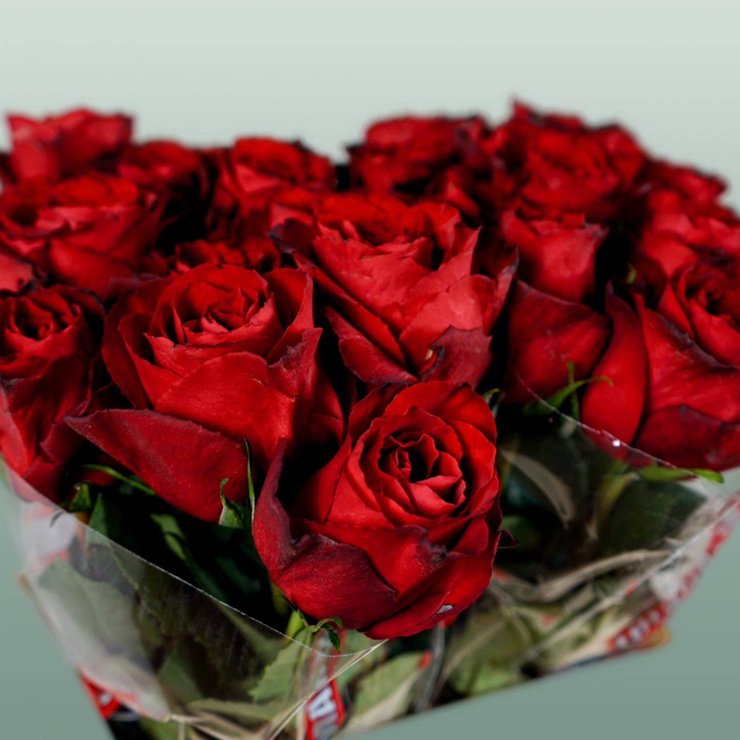 Rose Madam Red (20 Stems)