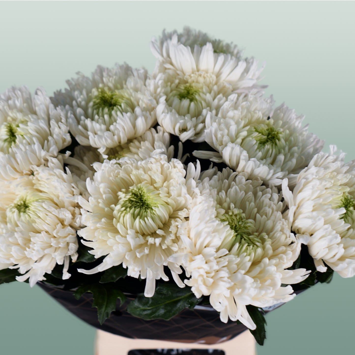 Chrysanthemum G Magnum White (10 Stems)