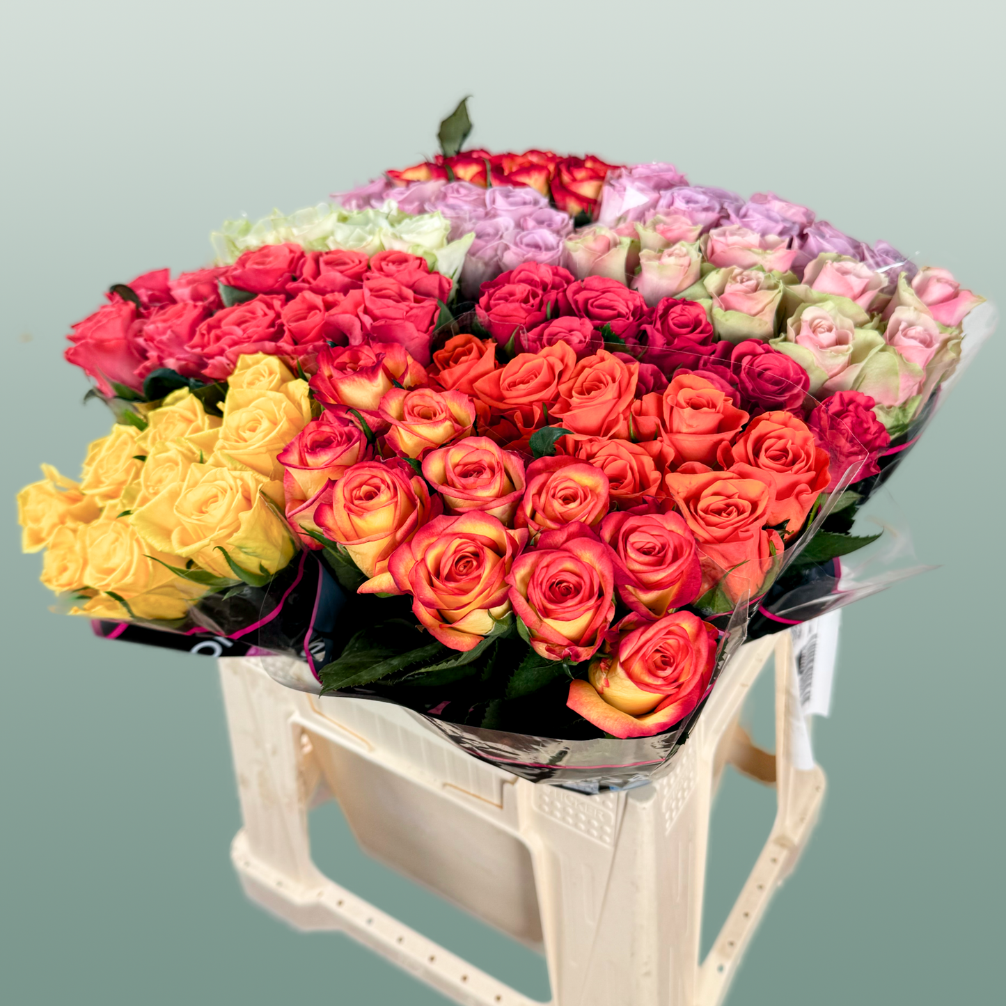 Rose Mix Var (100 Stems)