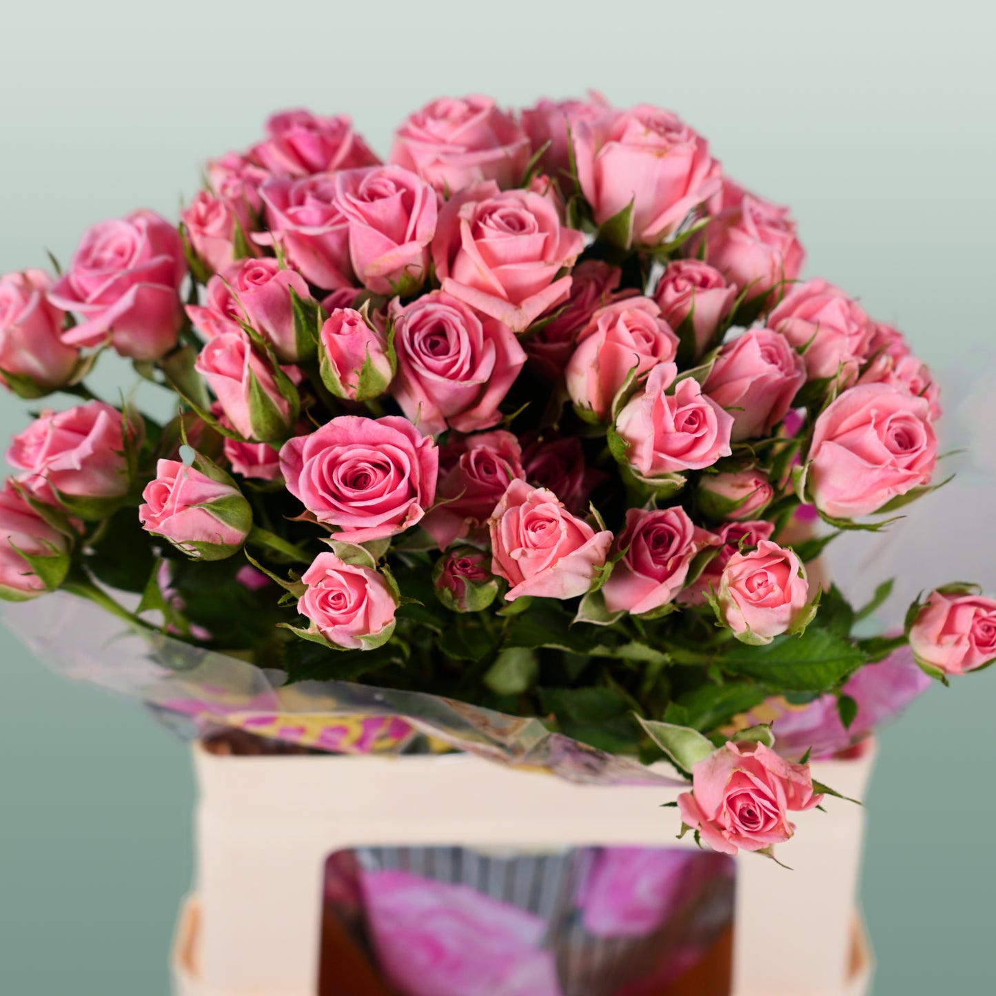Spray Rose Odilia (10 Stems)
