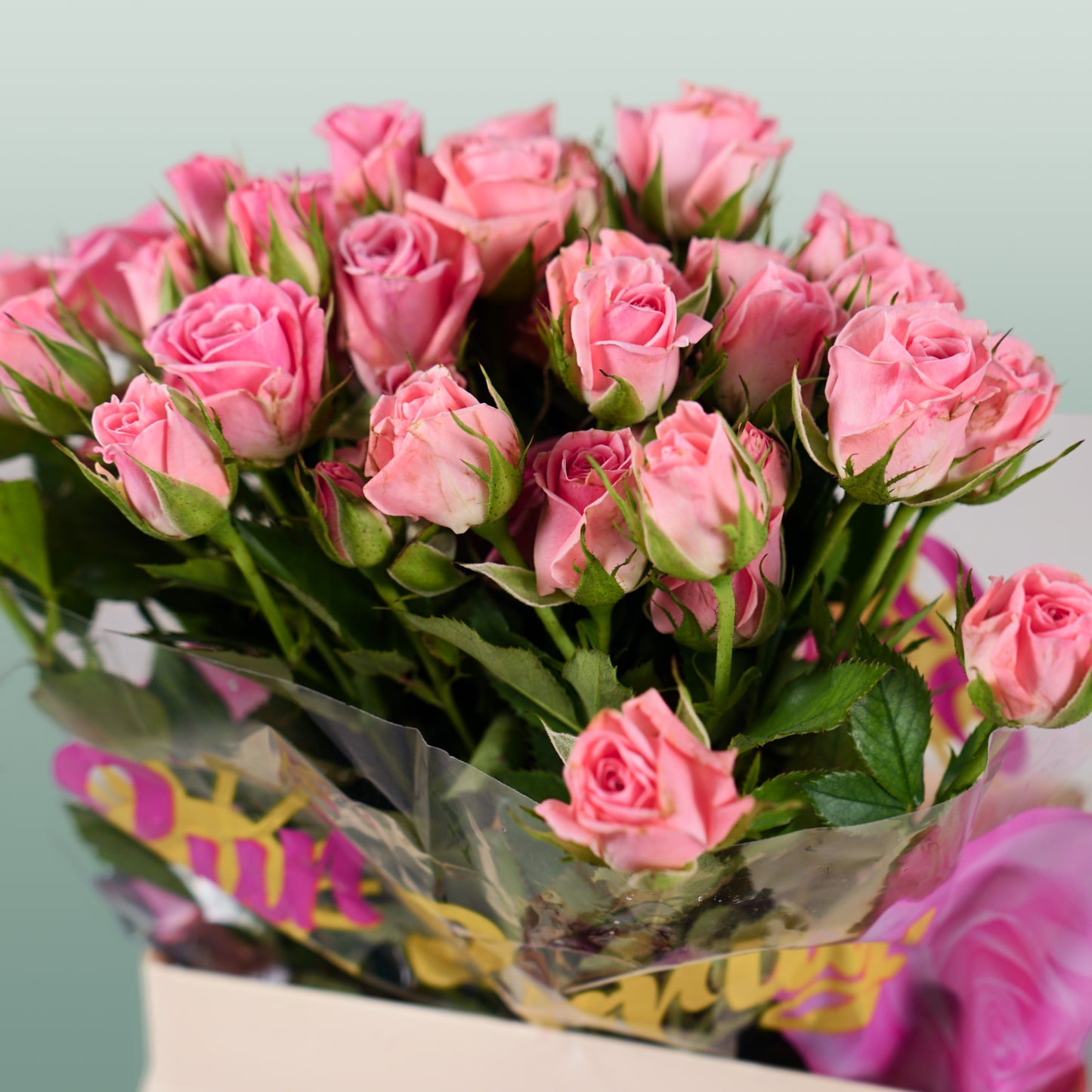 Spray Rose Odilia (10 Stems)