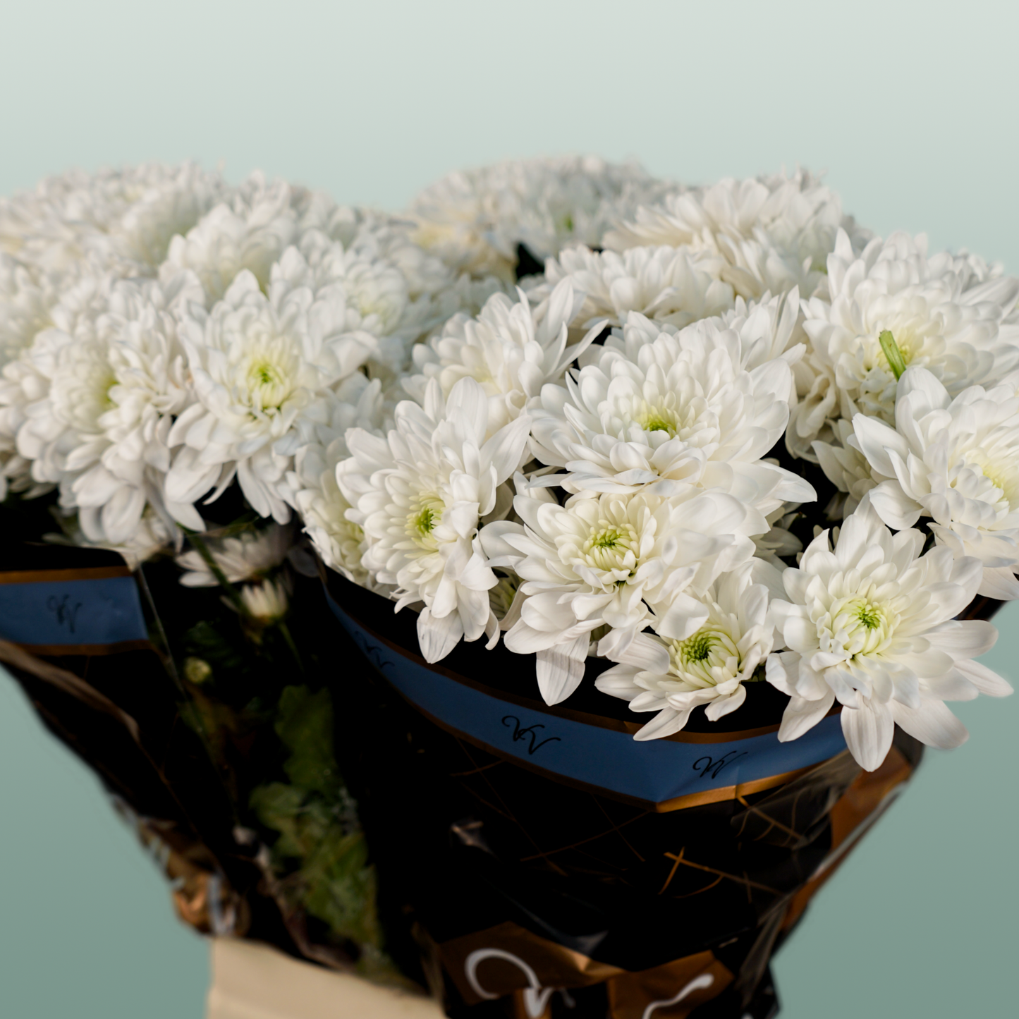 Chrysanthemum Spray Pina Colada White