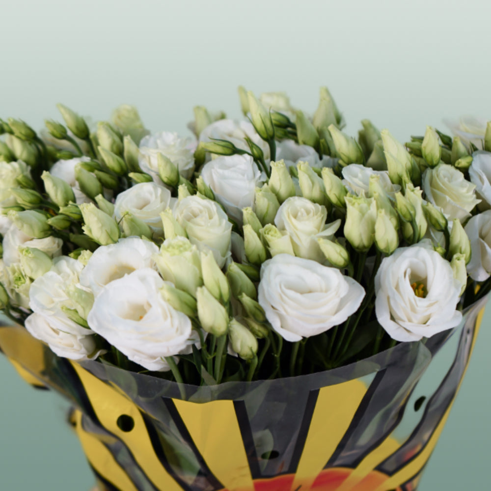 Lisianthus Rosita White (10 Stems)