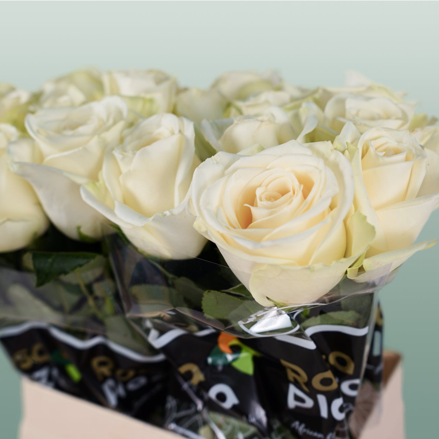 Rose Snowstorm 40-60cm (20 Stems)