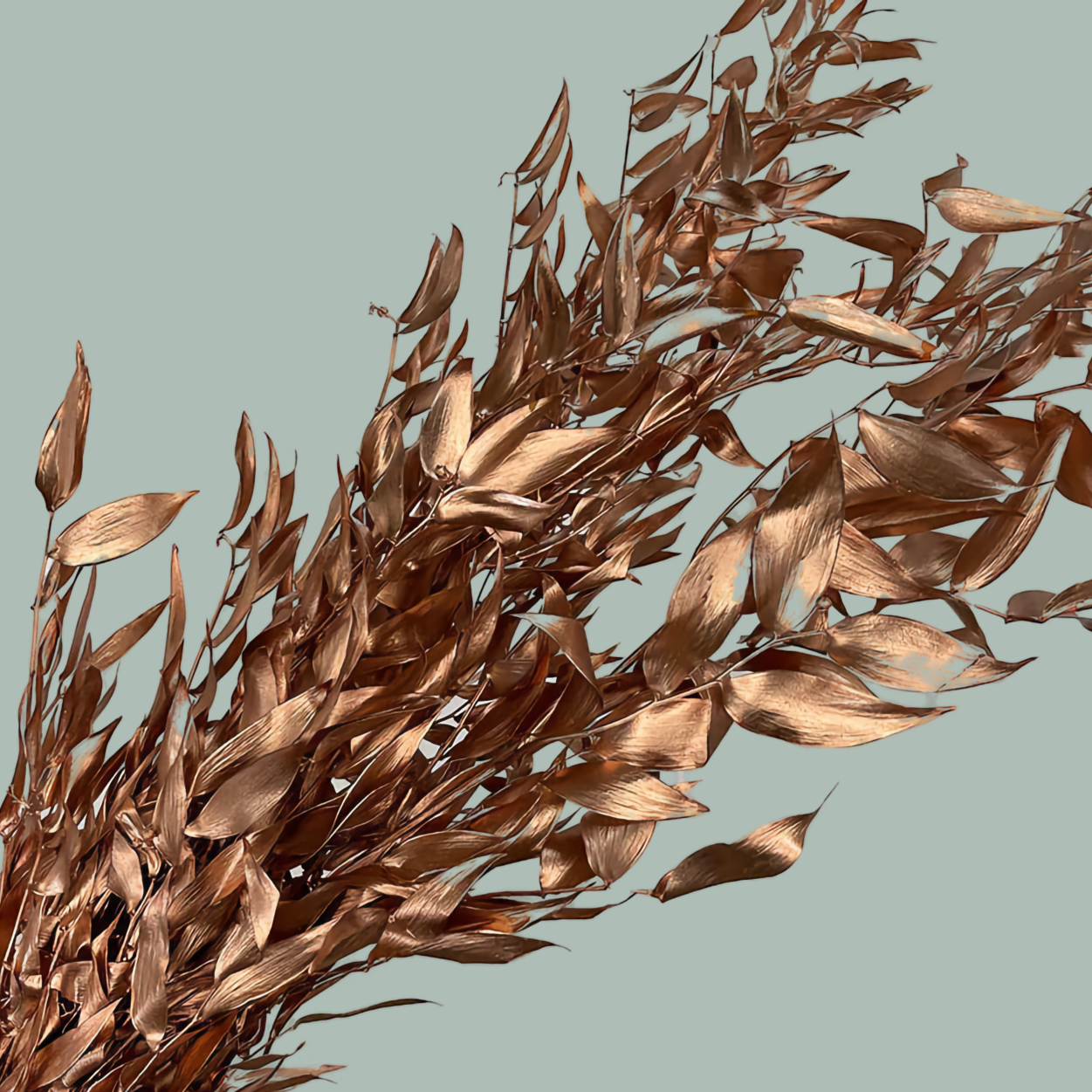 Dec Ruscus Soft Dyed Copper