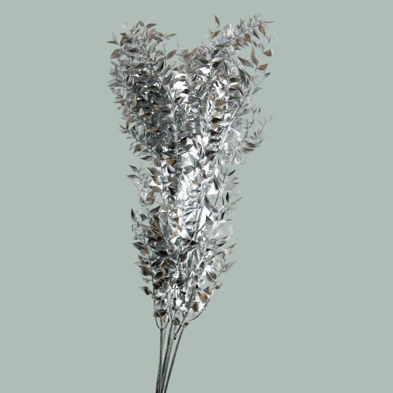 Dec Ruscus Soft Dyed Silver
