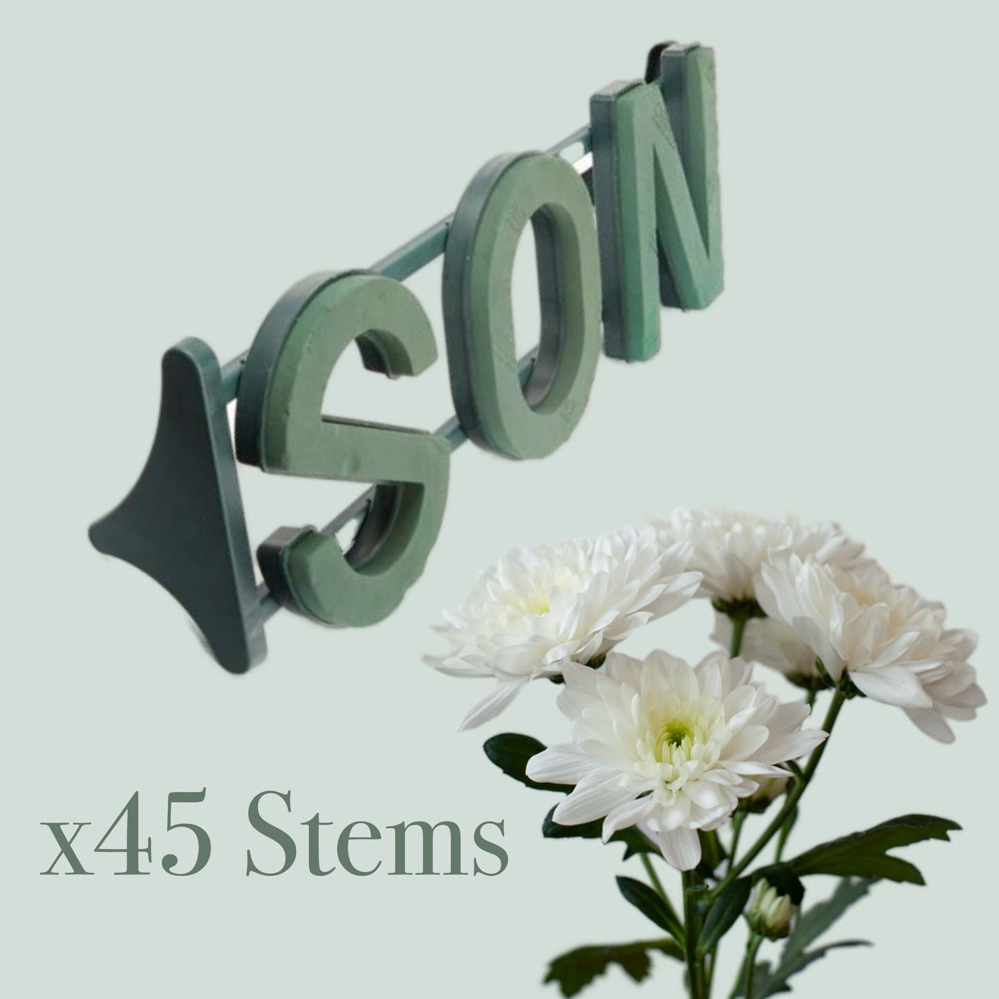 3 Letter Bar Kit (9 Bunches Bonita)