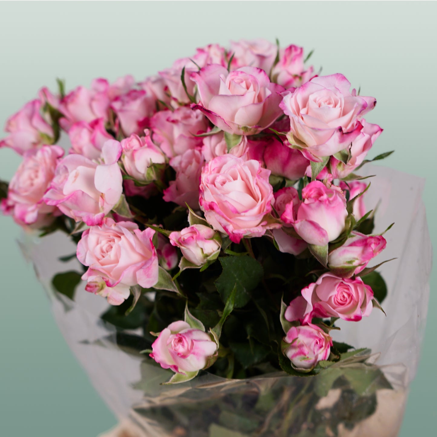 Spray Rose Speaking Blossoms (10 Stems)