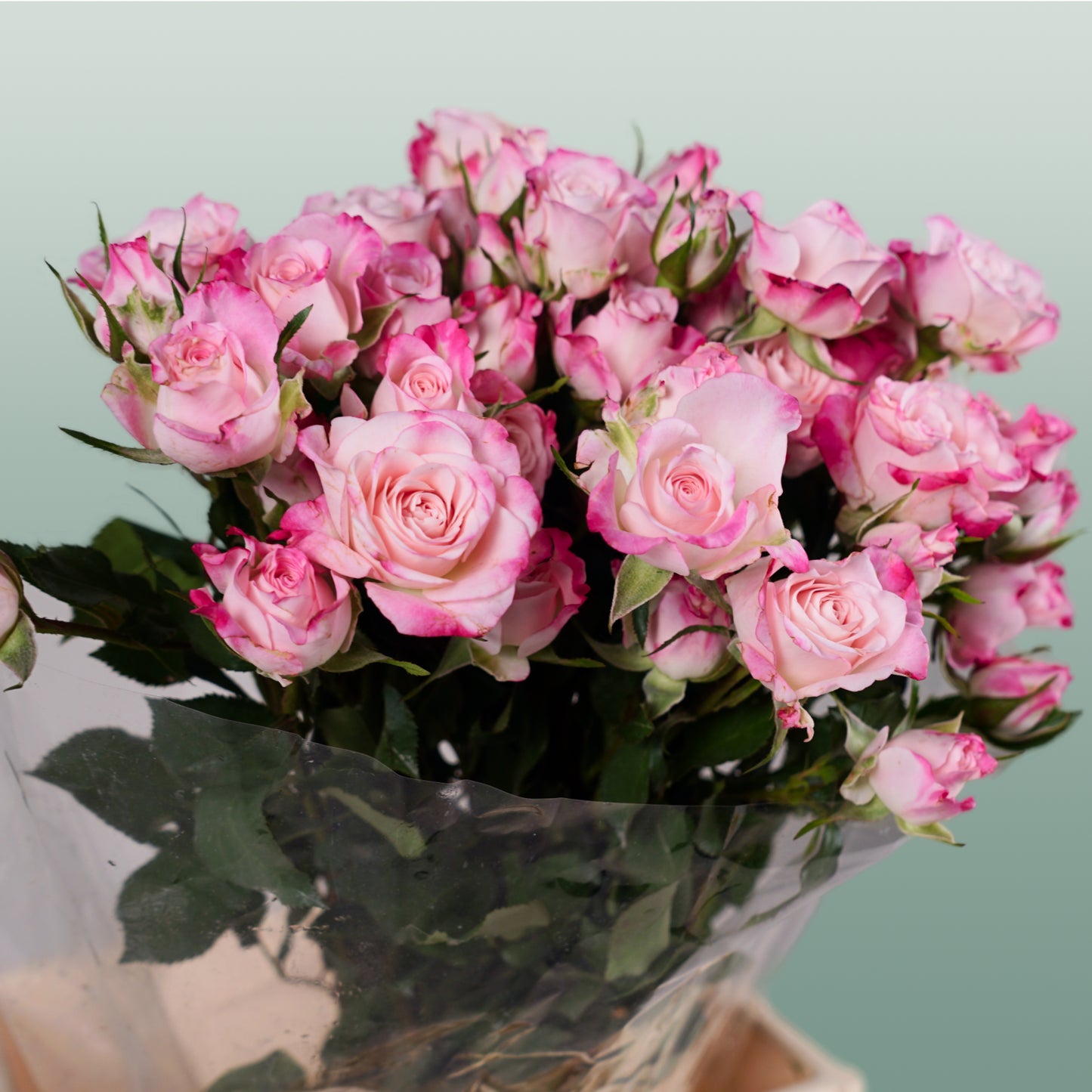 Spray Rose Speaking Blossoms (10 Stems)