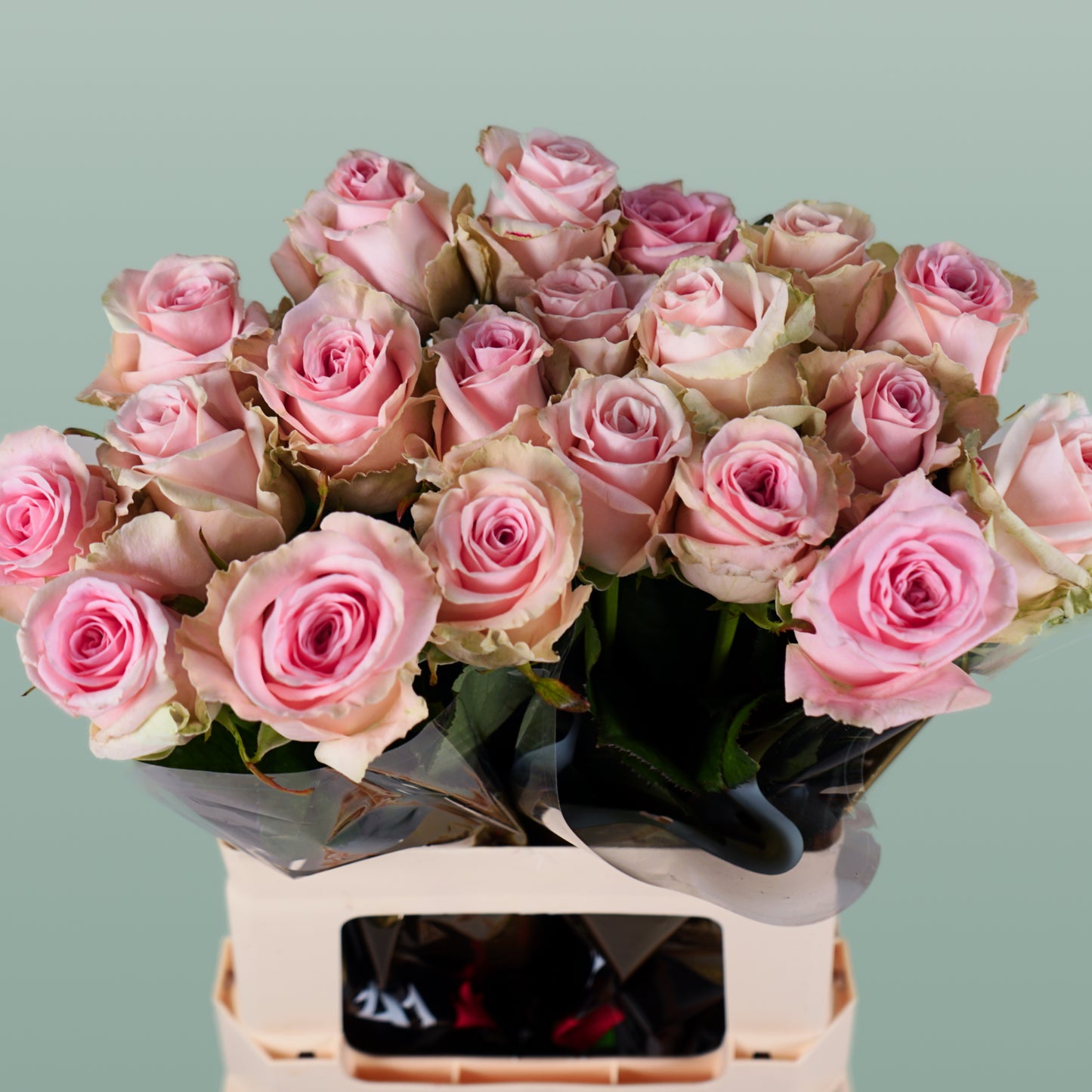 Rose Sweet Dolomiti (20 Stems)