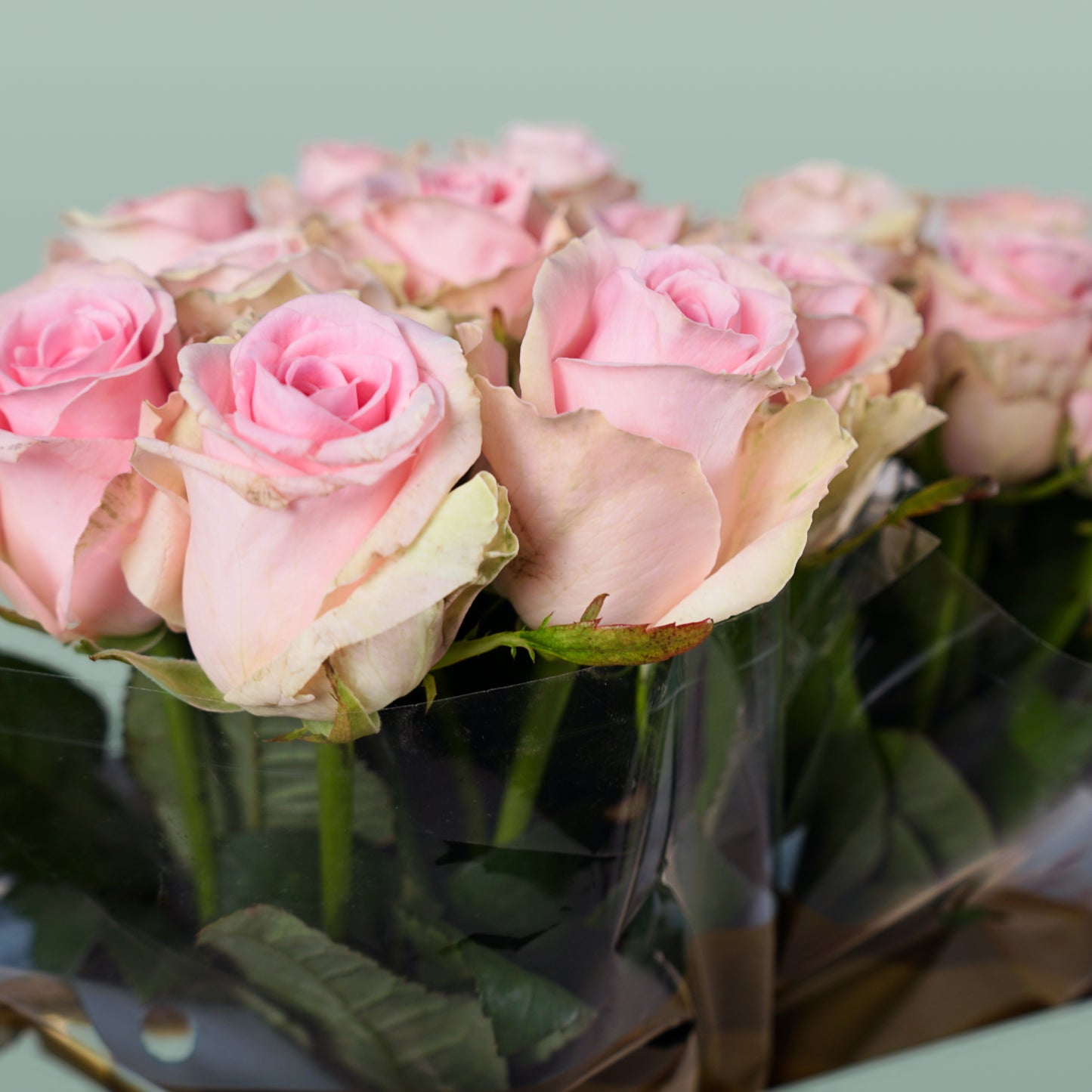 Rose Sweet Dolomiti (20 Stems)