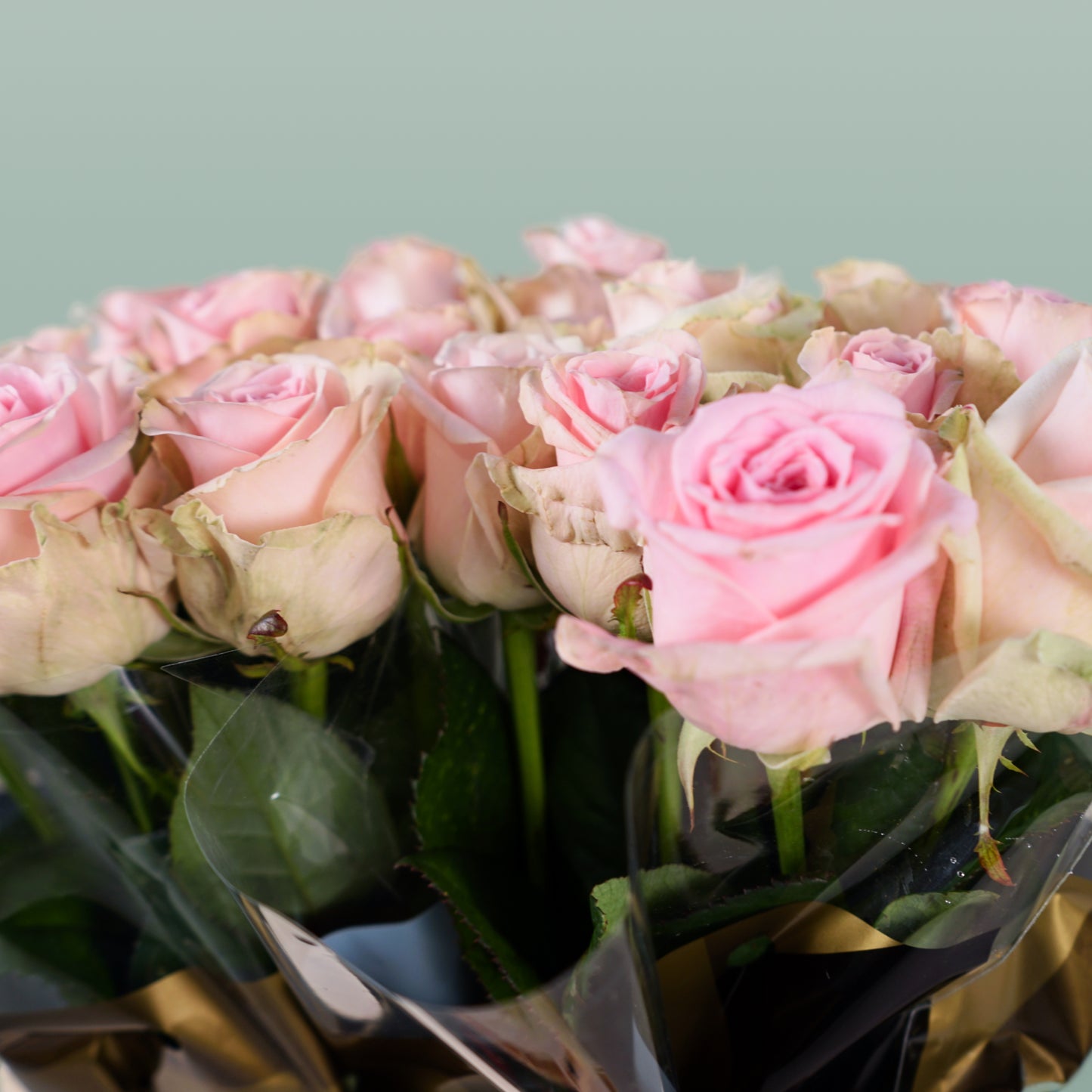Rose Sweet Dolomiti (20 Stems)