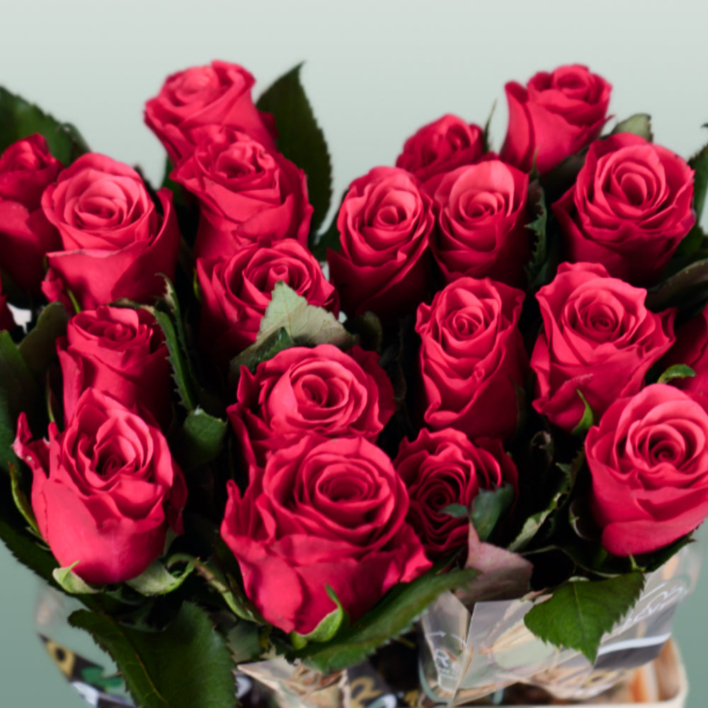 Rose Tacazzi 40-60cm (20 Stems)