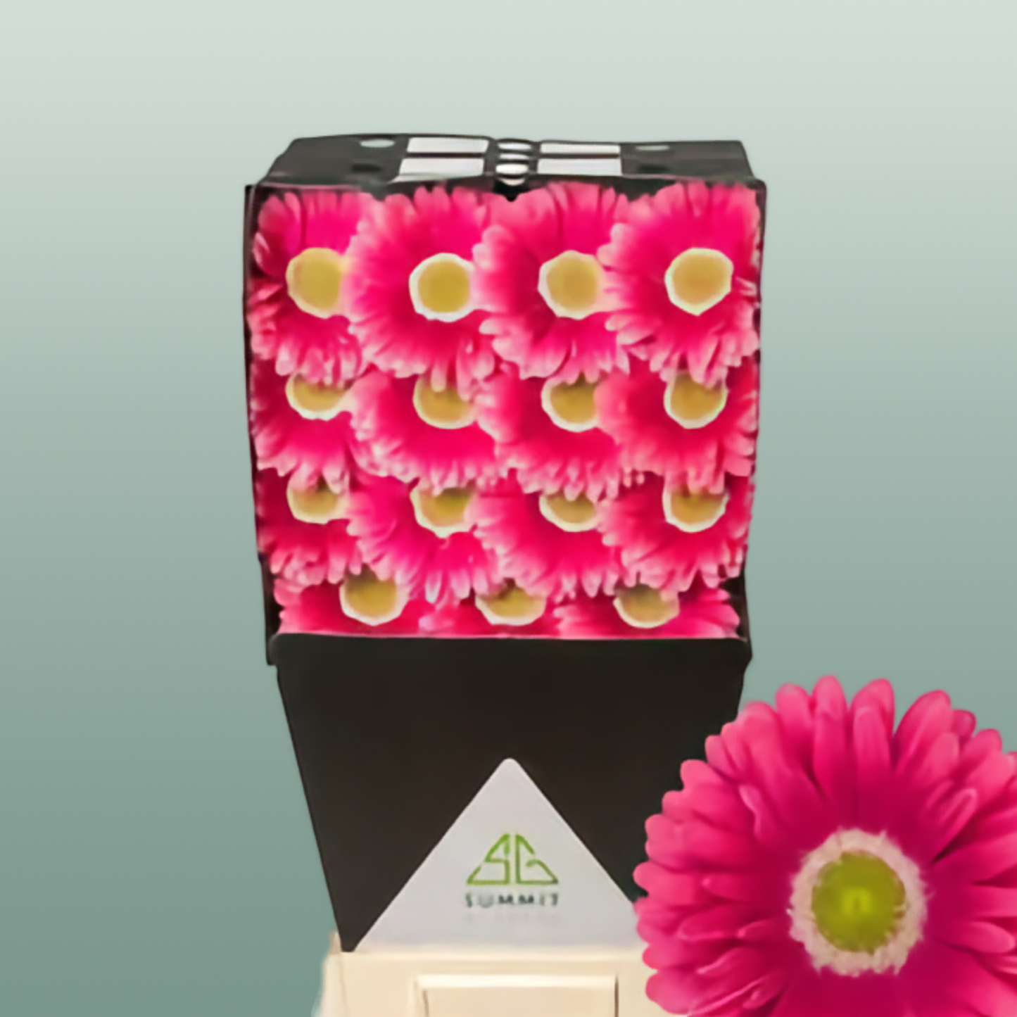 Gerbera Unique
